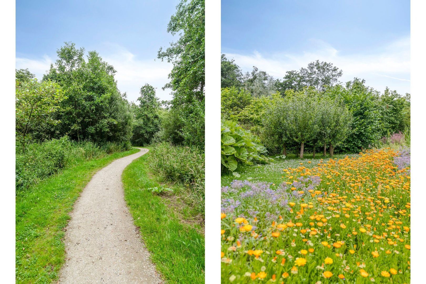 Vlinderplein 20, Gouda foto-43
