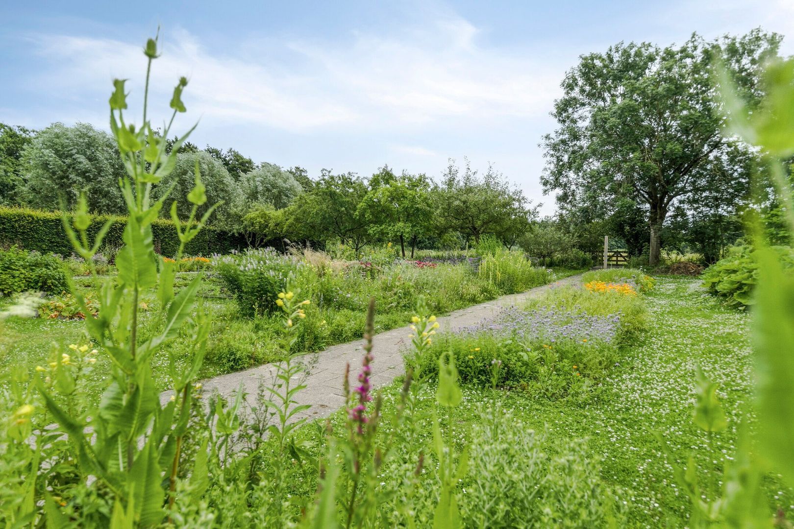 Vlinderplein 20, Gouda foto-46