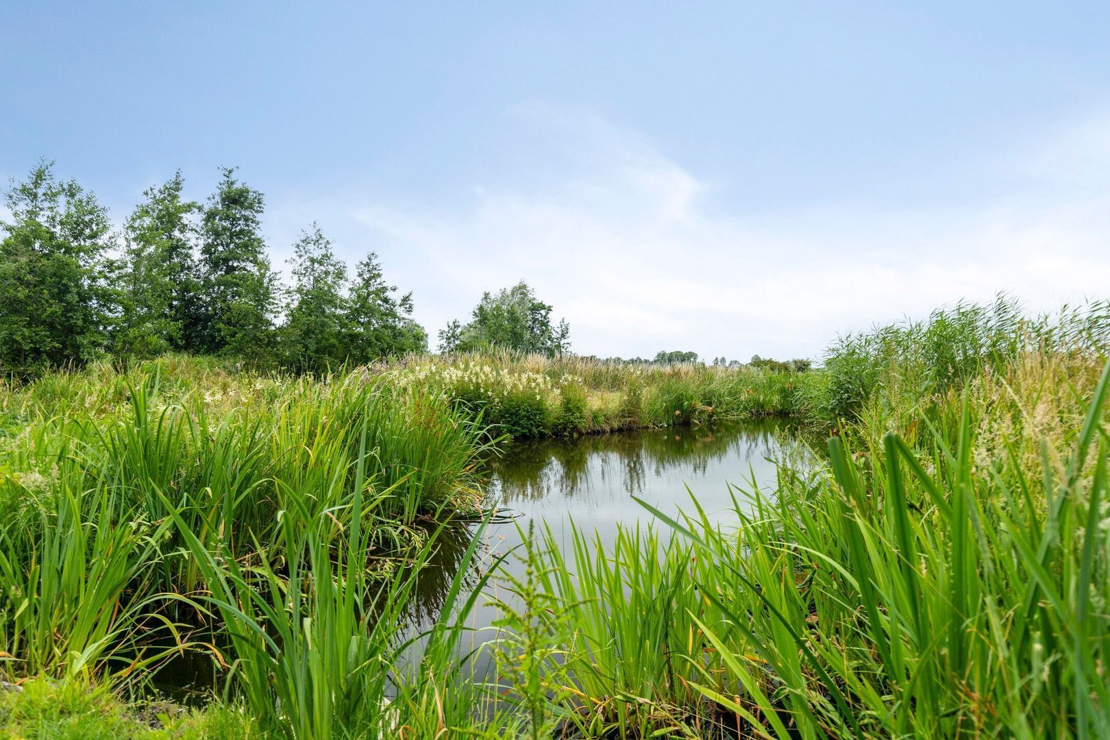 Vlinderplein 20, Gouda foto-42