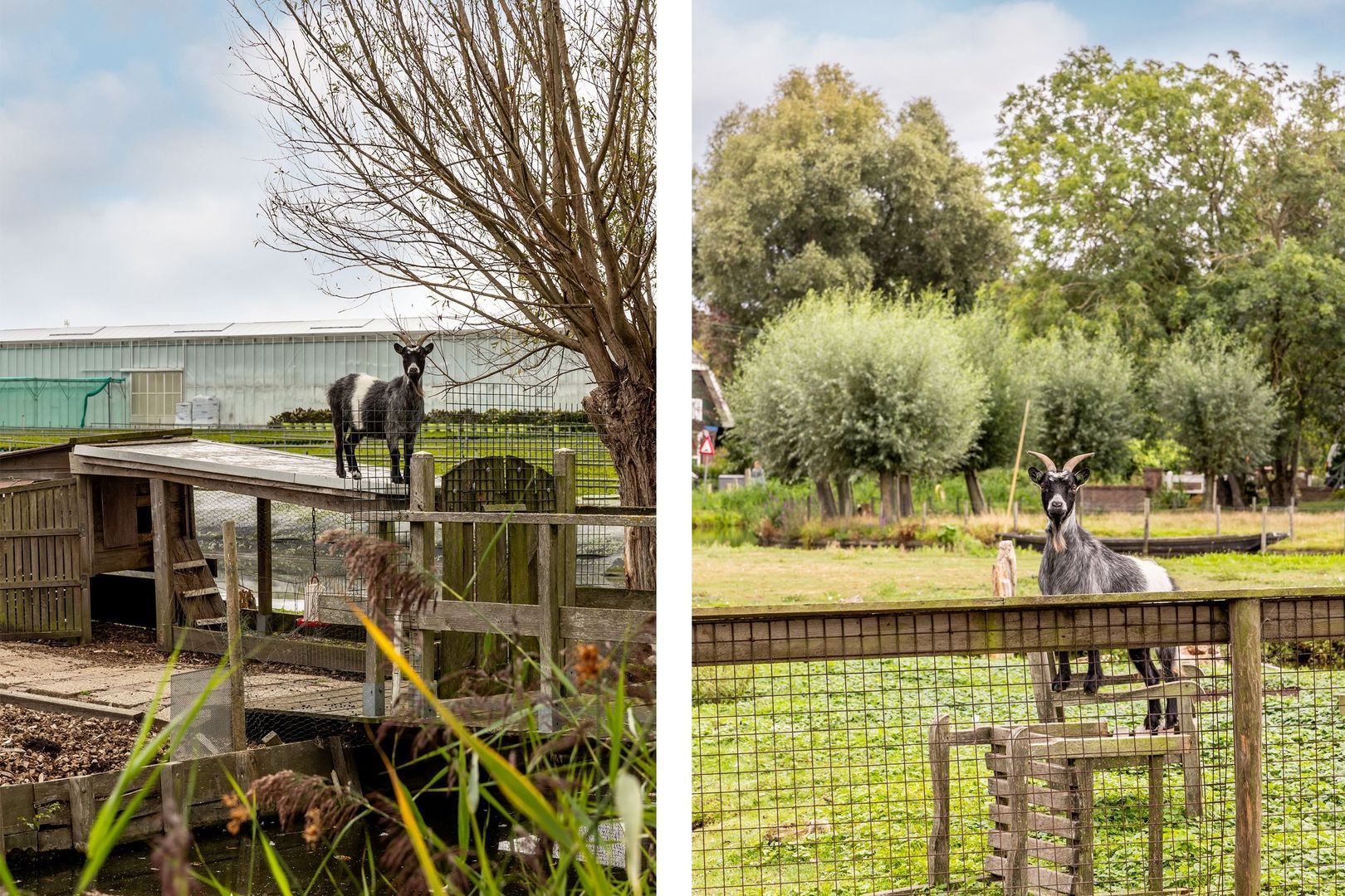 Randenburgseweg 19 a, Reeuwijk foto-54