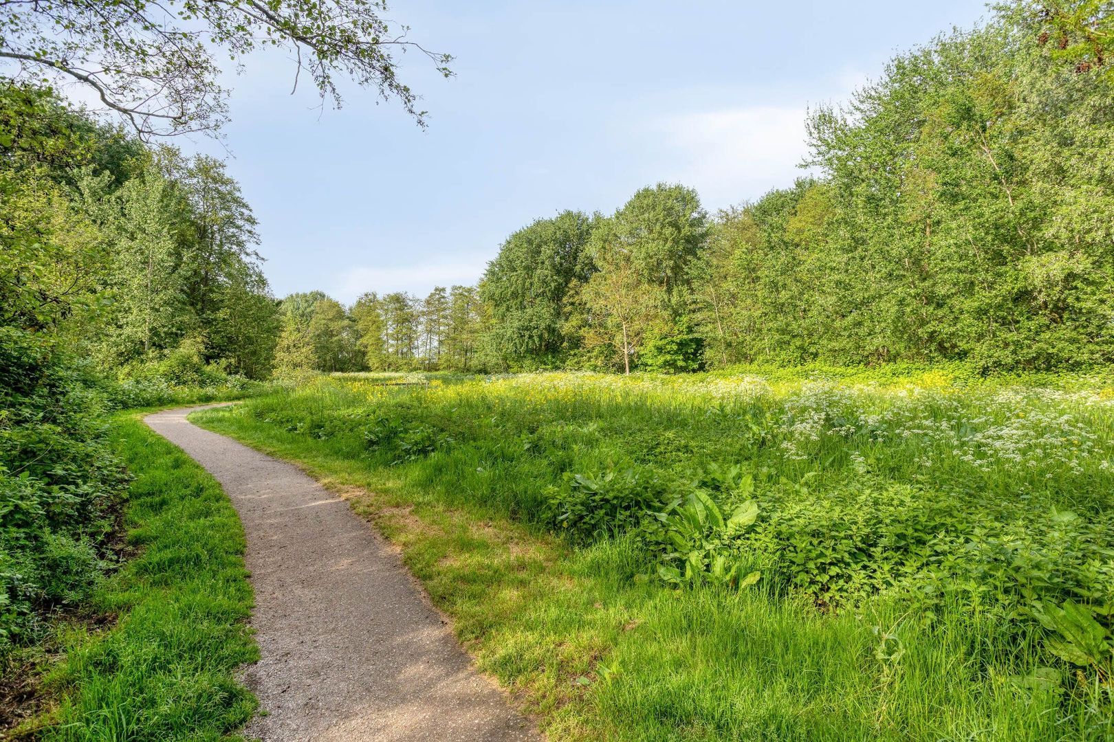 Citroenvlinderstraat 16, Gouda foto-37