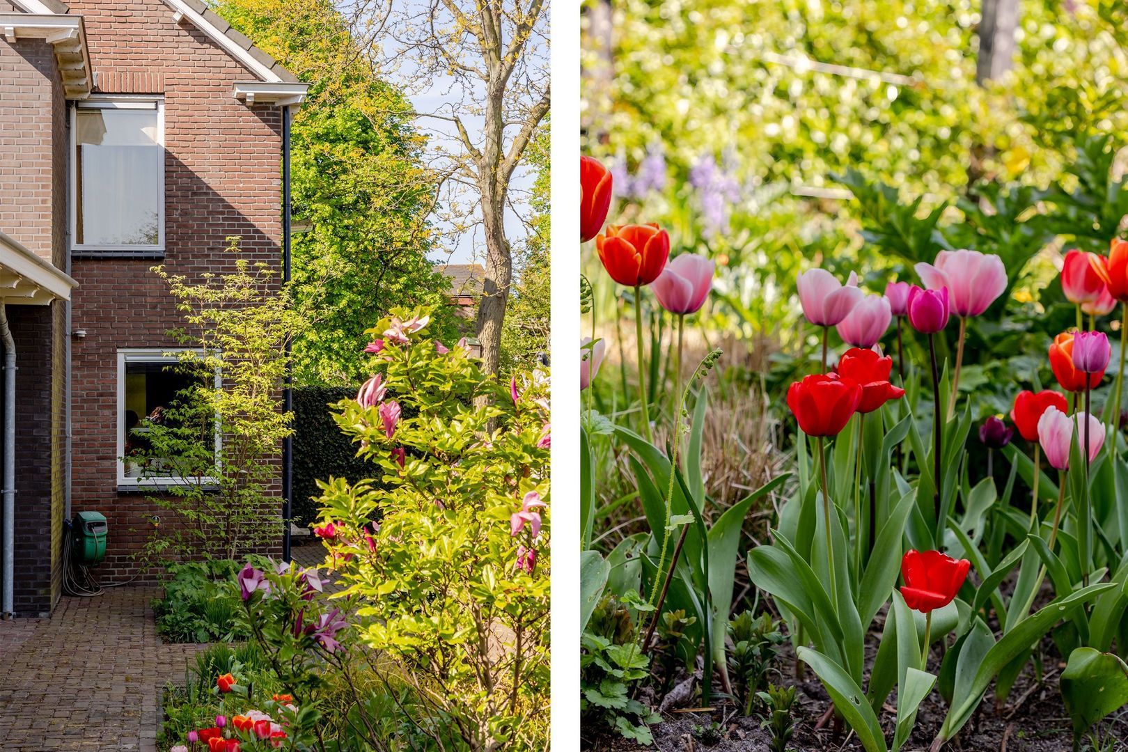 Johan Evertsenlaan 19, Maassluis foto-48