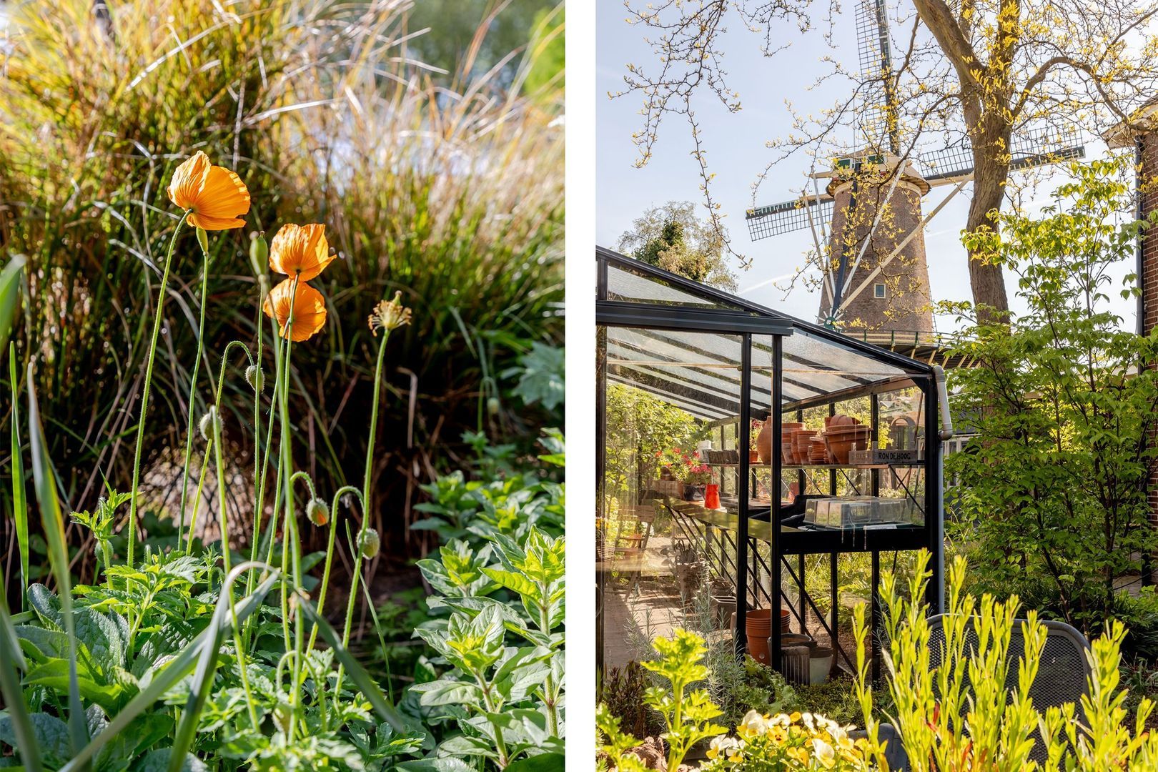 Johan Evertsenlaan 19, Maassluis foto-42