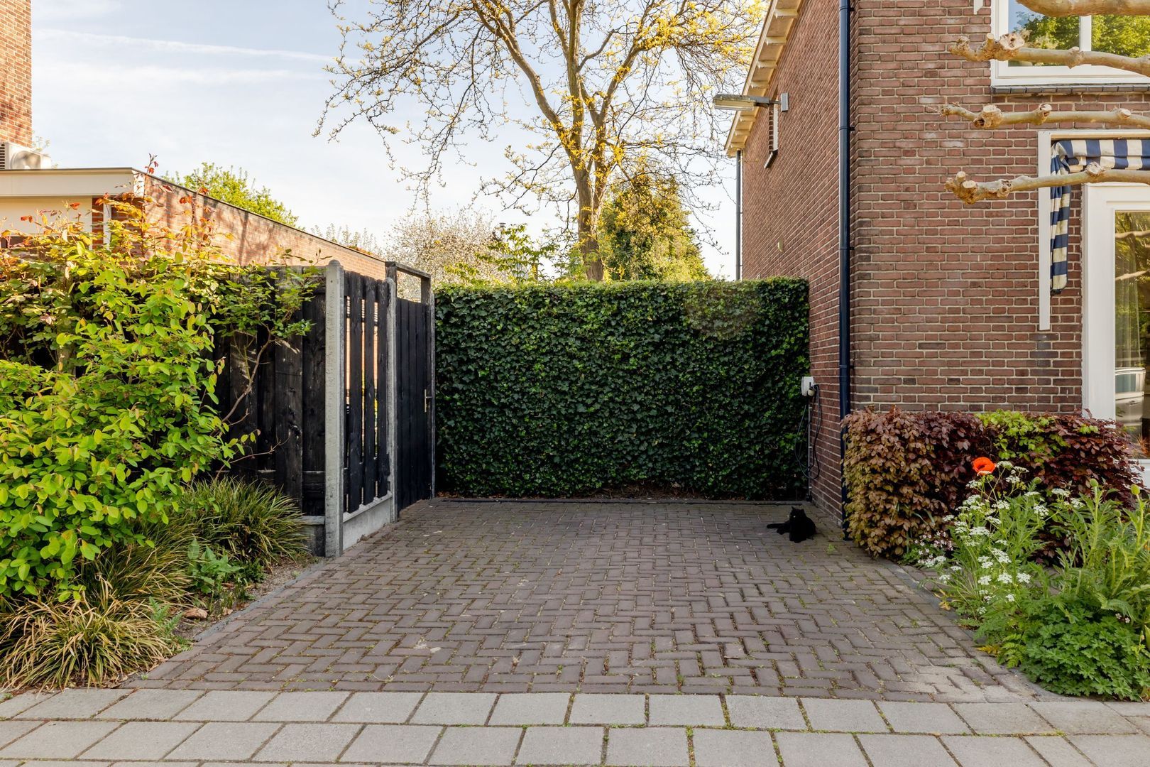 Johan Evertsenlaan 19, Maassluis foto-49