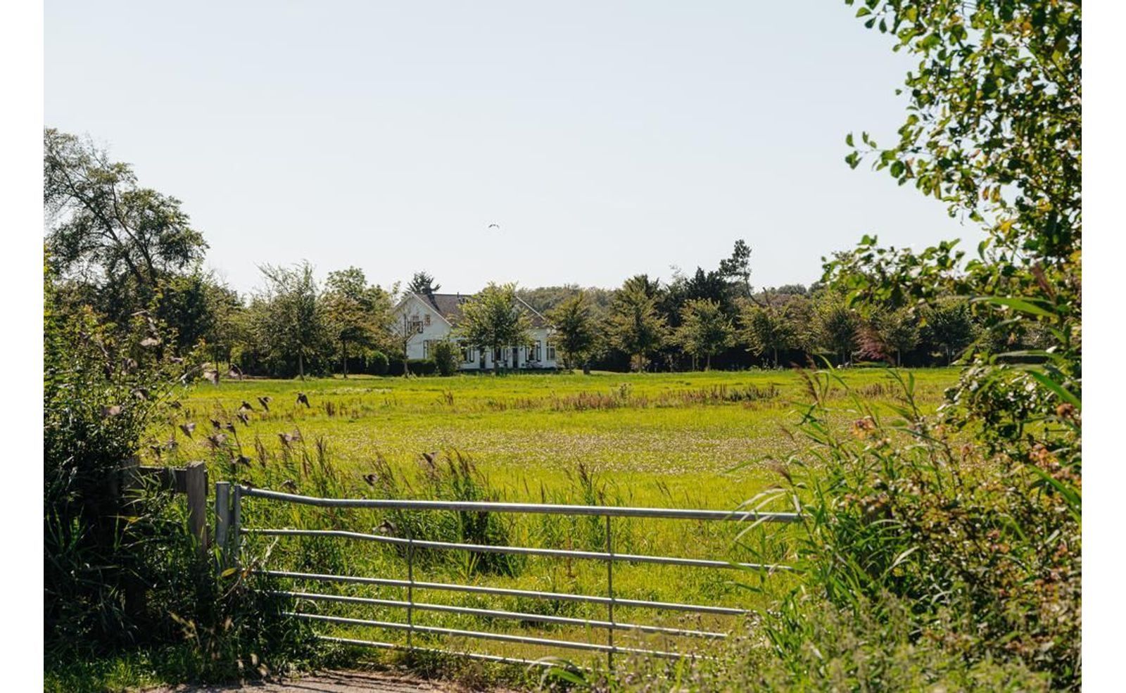 Brederolaan 20, Heemstede foto-44