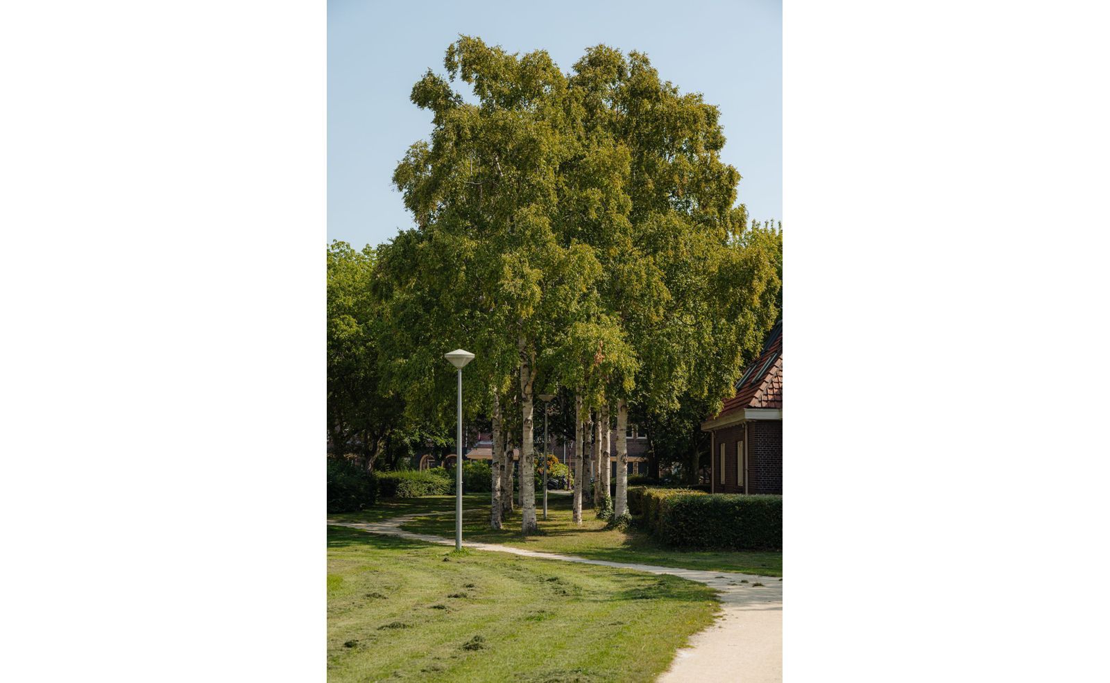 Meidoornplein 15 A, Amsterdam foto-21