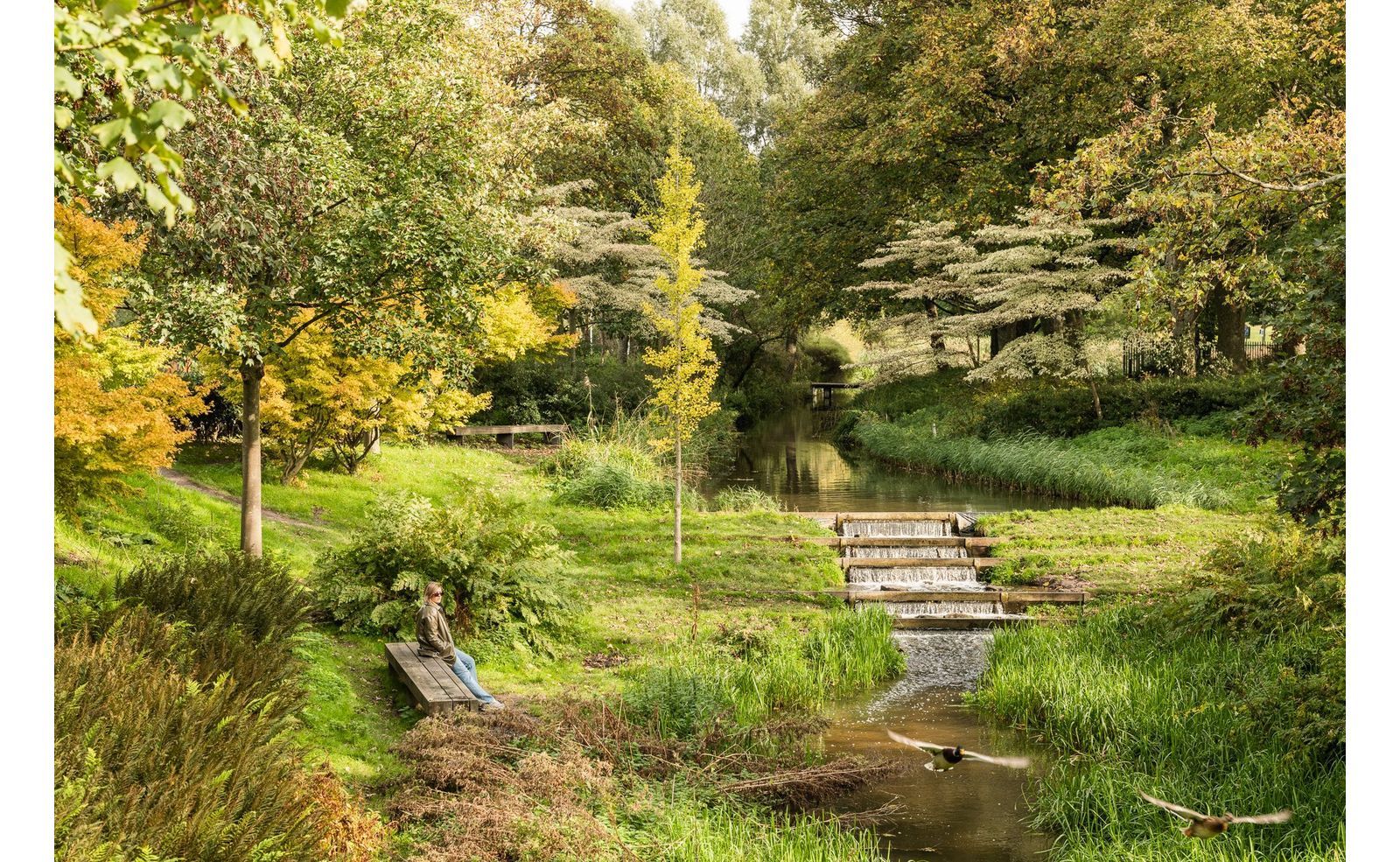 De Wittenkade 128 3, Amsterdam foto-23