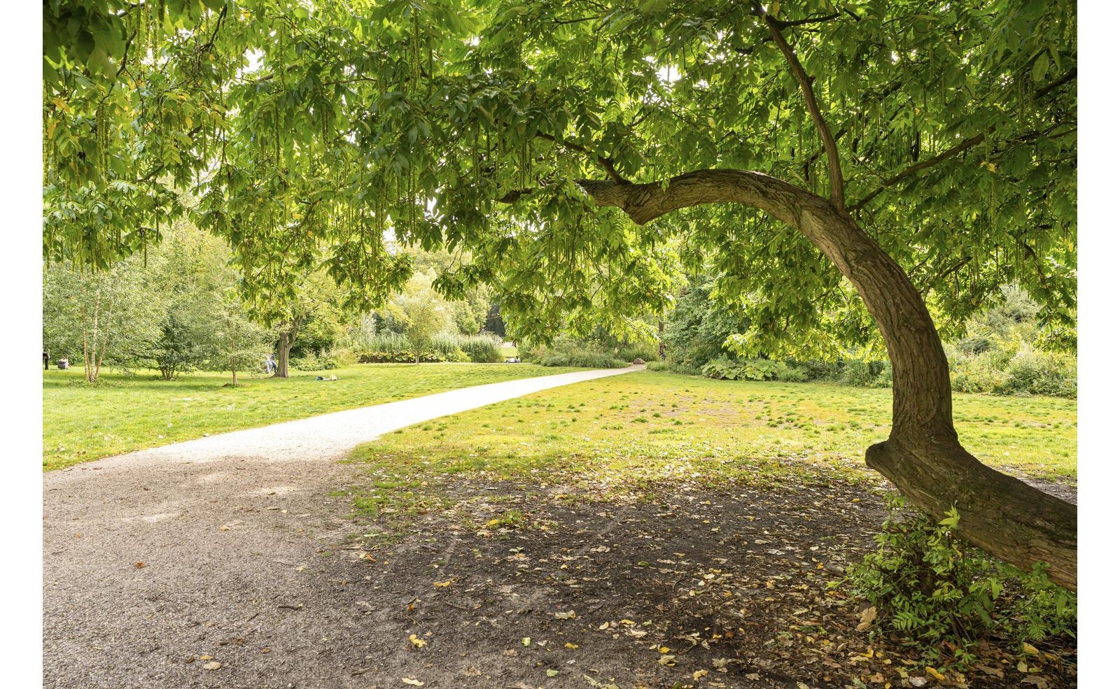 Ruysdaelkade 127 2, Amsterdam foto-23