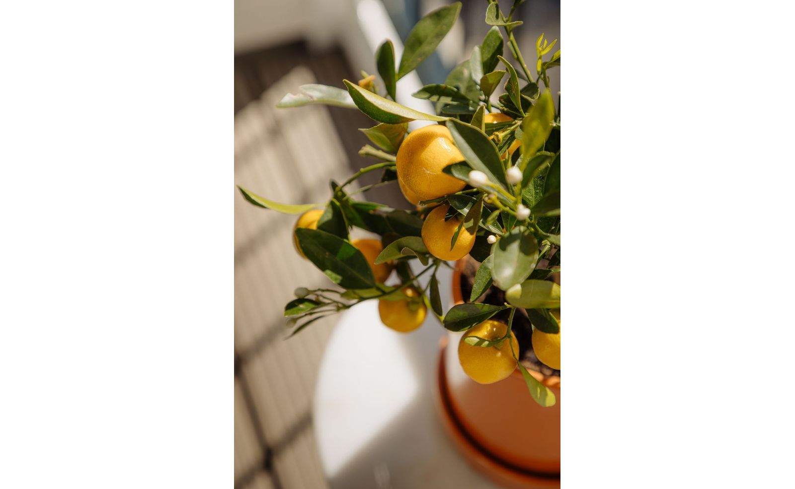 Van Ostadestraat 32 1, Amsterdam foto-8