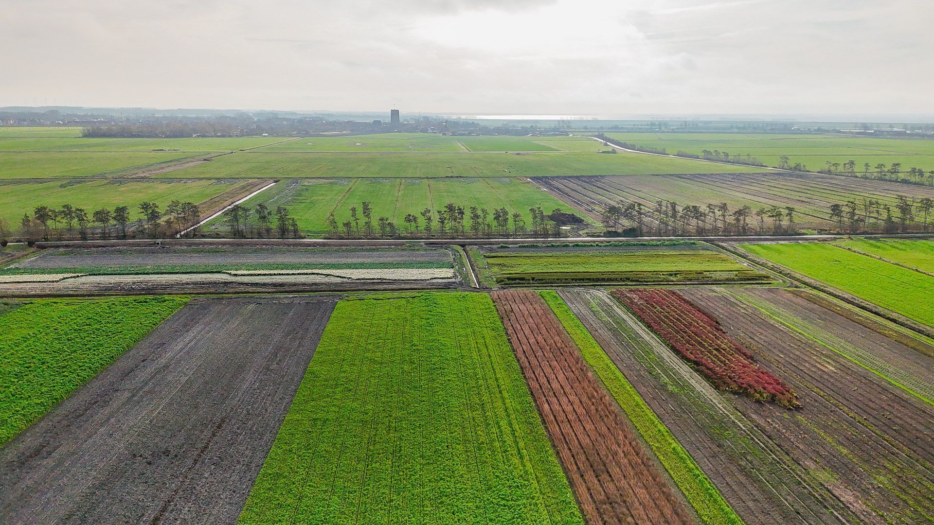 Oostdijkseweg 47, Goedereede foto-53