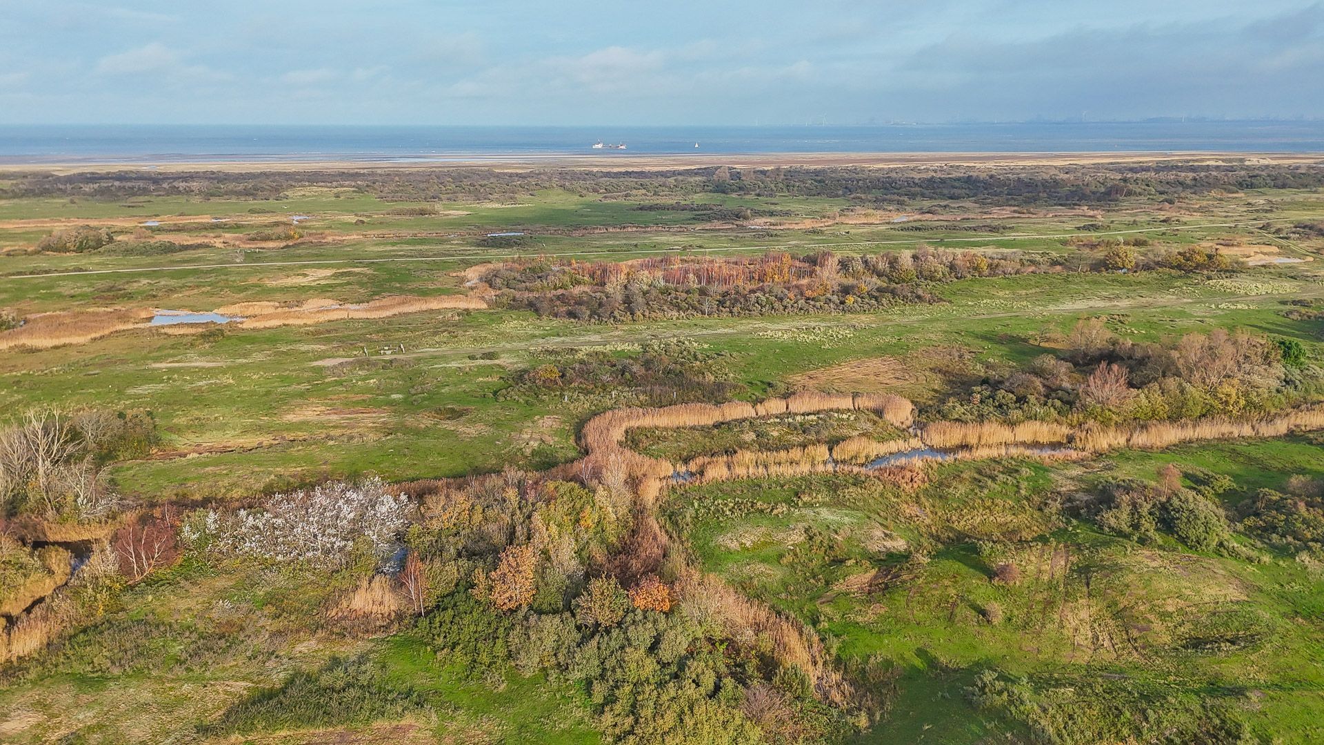 Oostdijkseweg 47, Goedereede foto-56