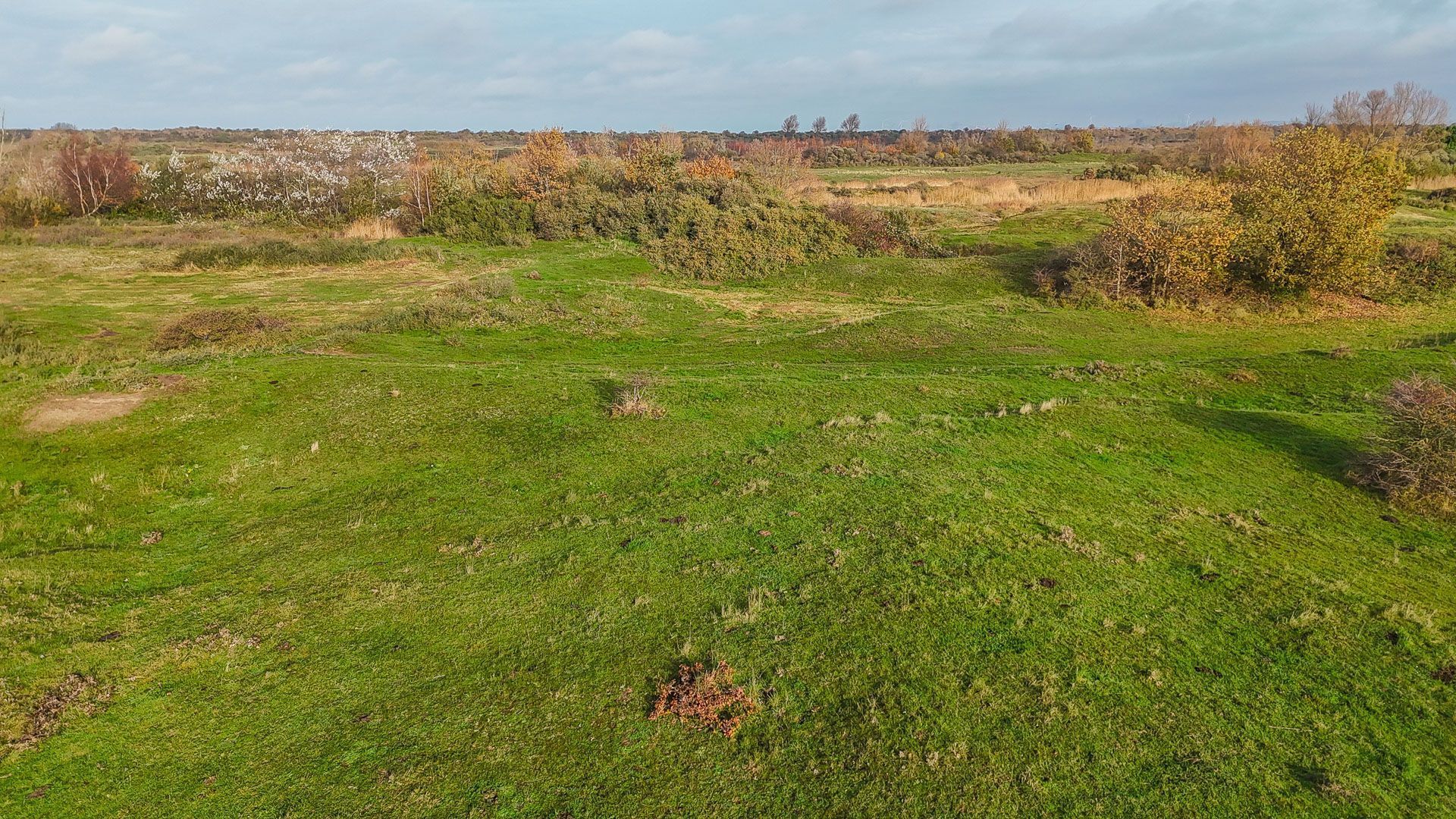 Oostdijkseweg 47, Goedereede foto-56