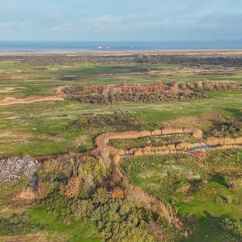 Oostdijkseweg 47, Goedereede foto-1