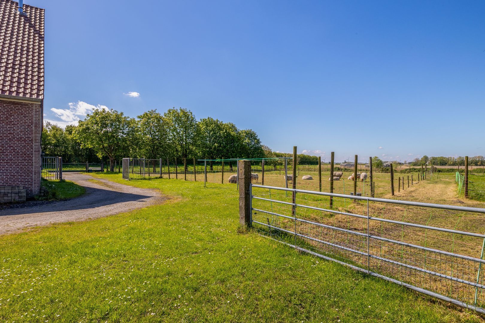 Schaapsweg 124, Den Bommel foto-76