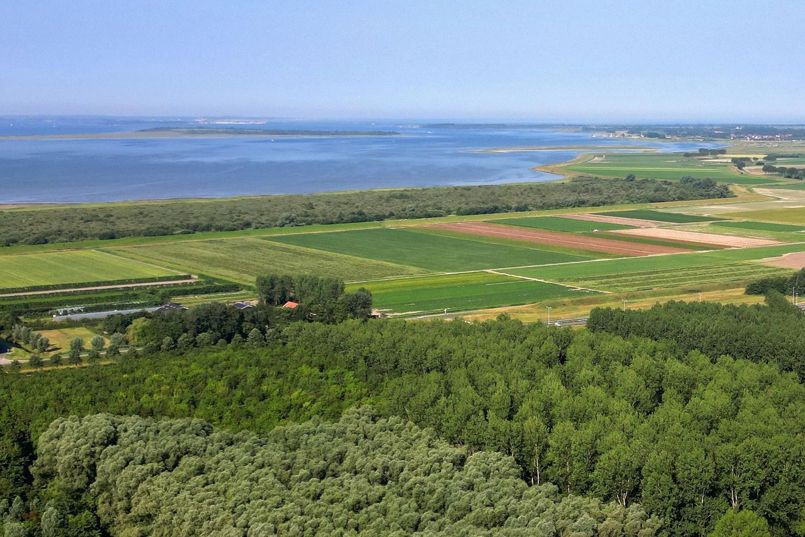 Narcissenpad 69, Stellendam foto-55