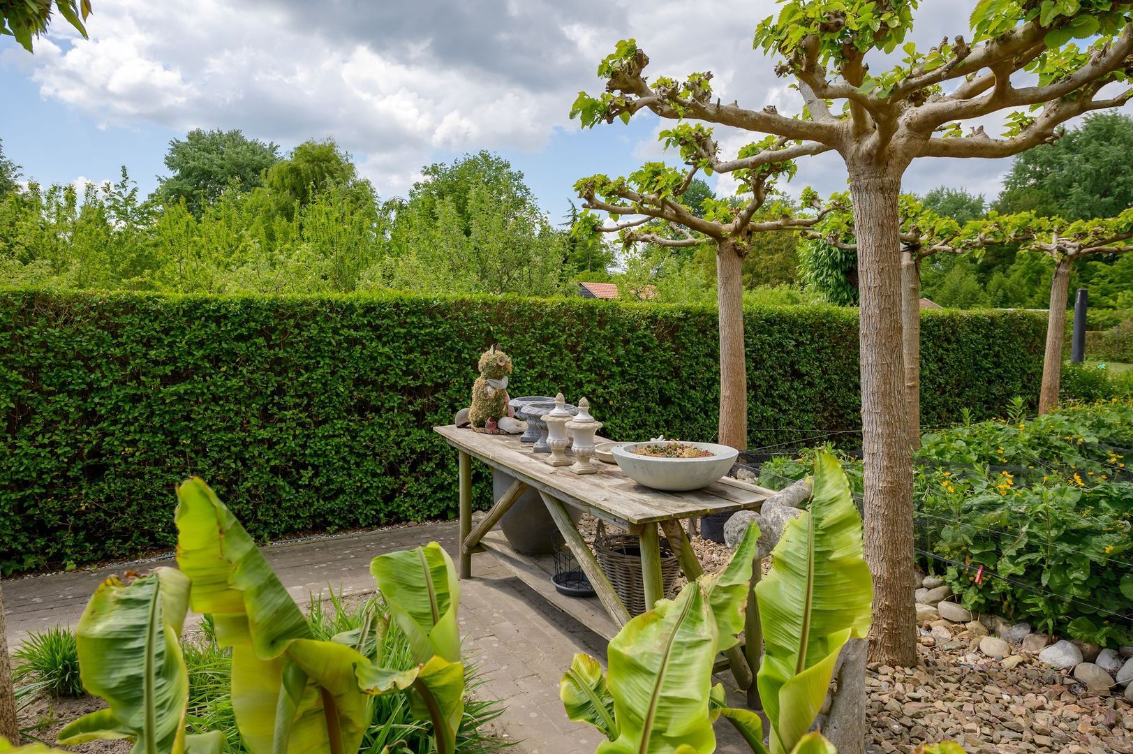 Korteweegje 24, Nieuwe-Tonge foto-32