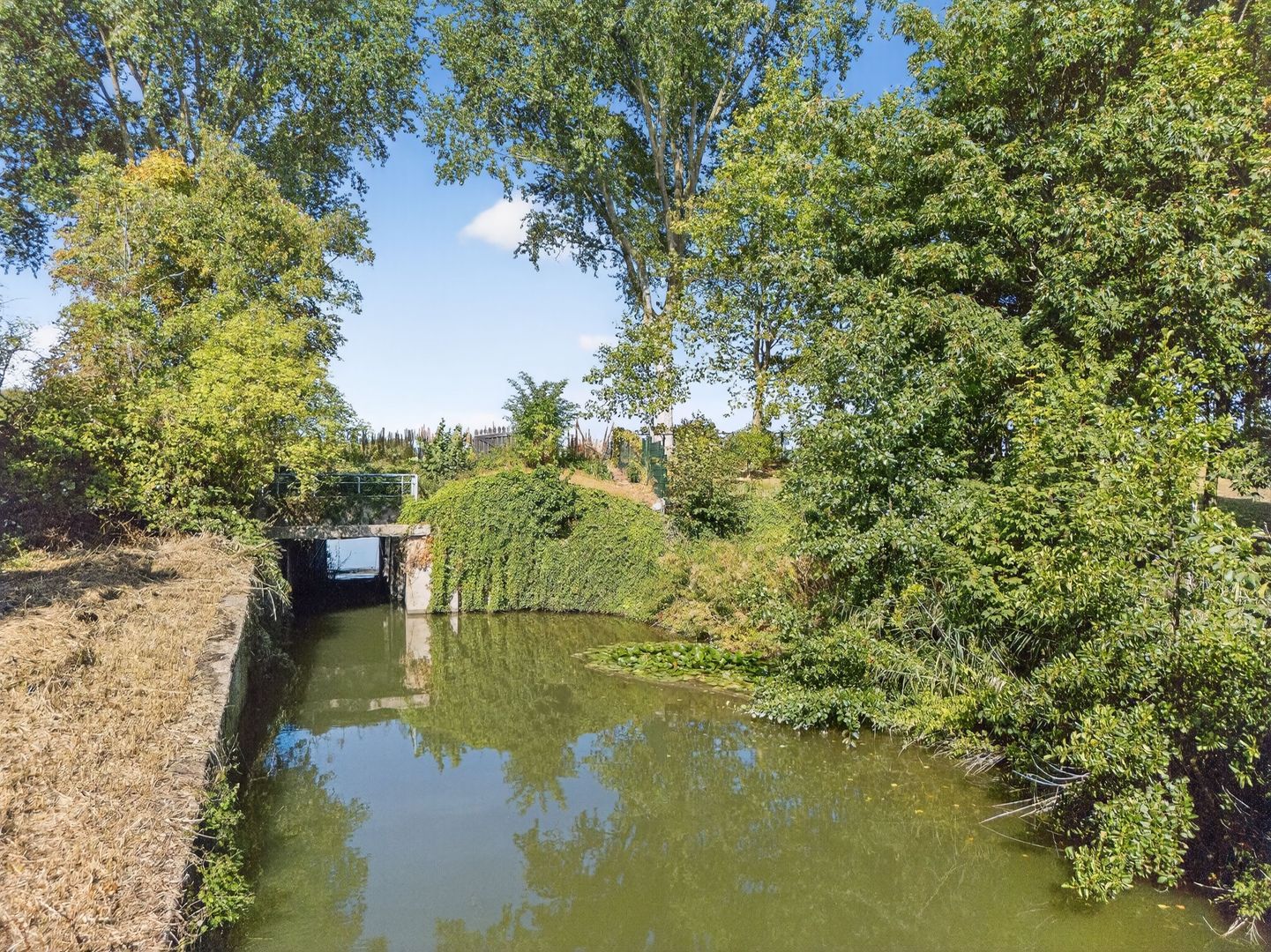 Galathesedijk 5, Ooltgensplaat foto-58