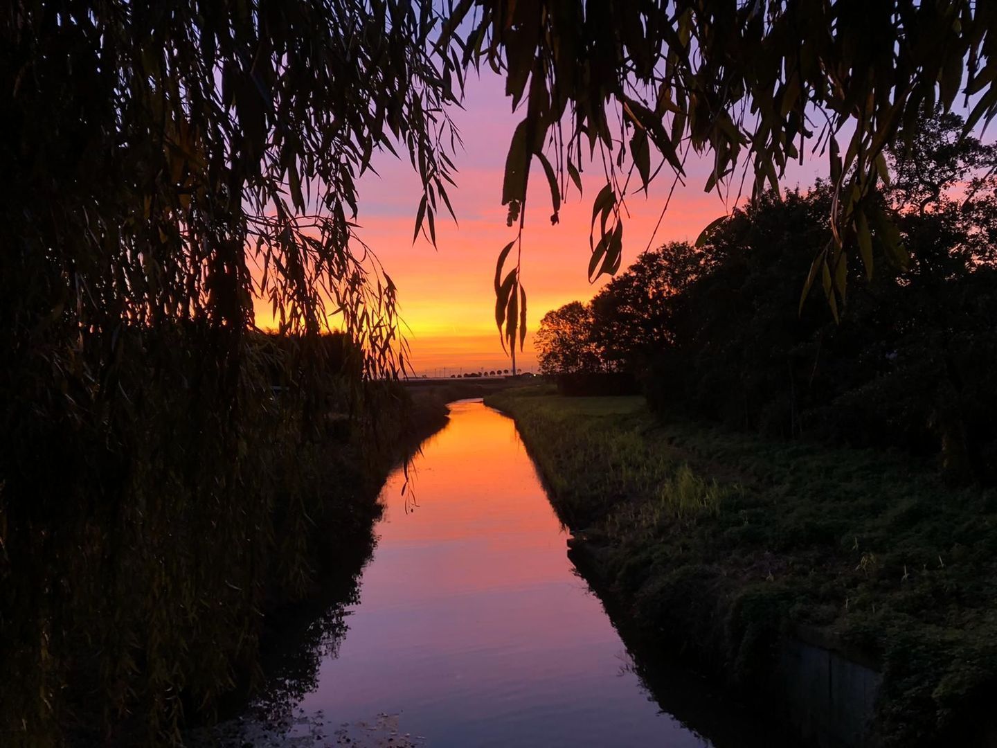 Galathesedijk 5, Ooltgensplaat foto-65