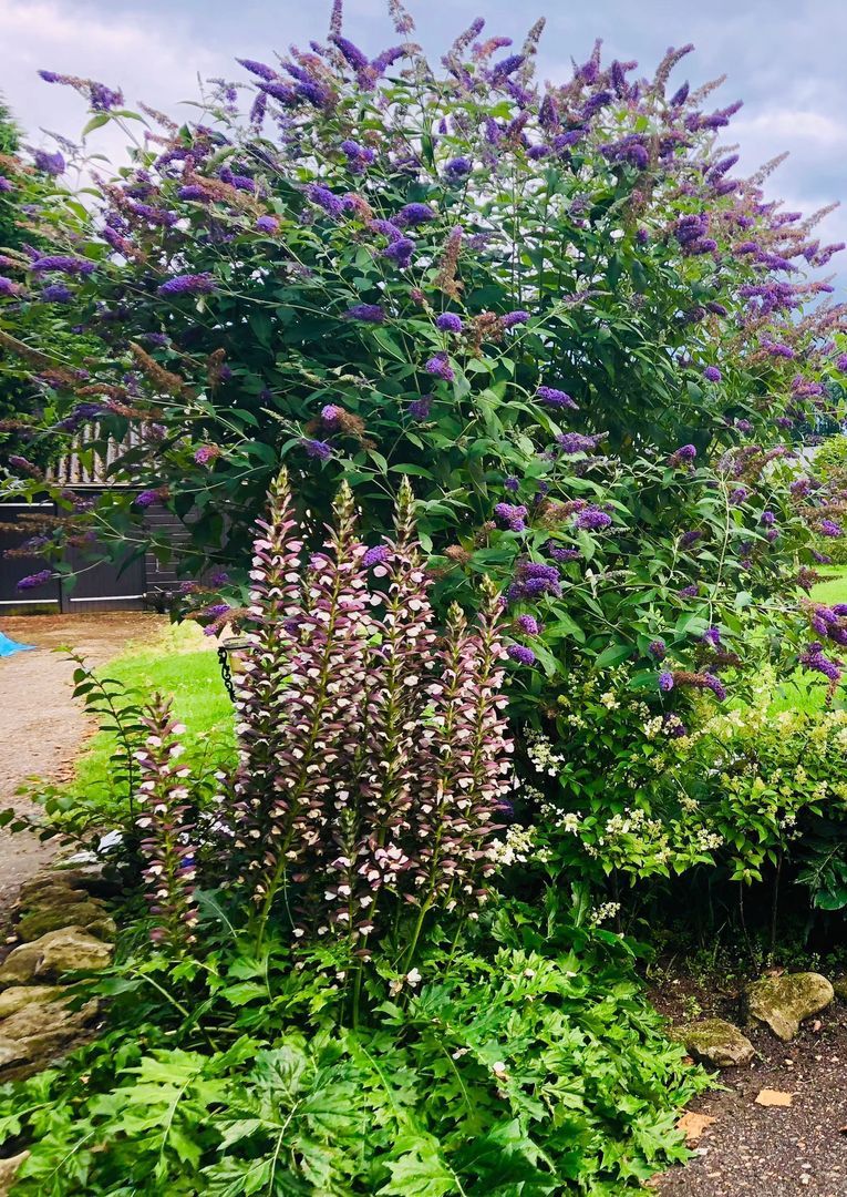 Galathesedijk 5, Ooltgensplaat foto-64