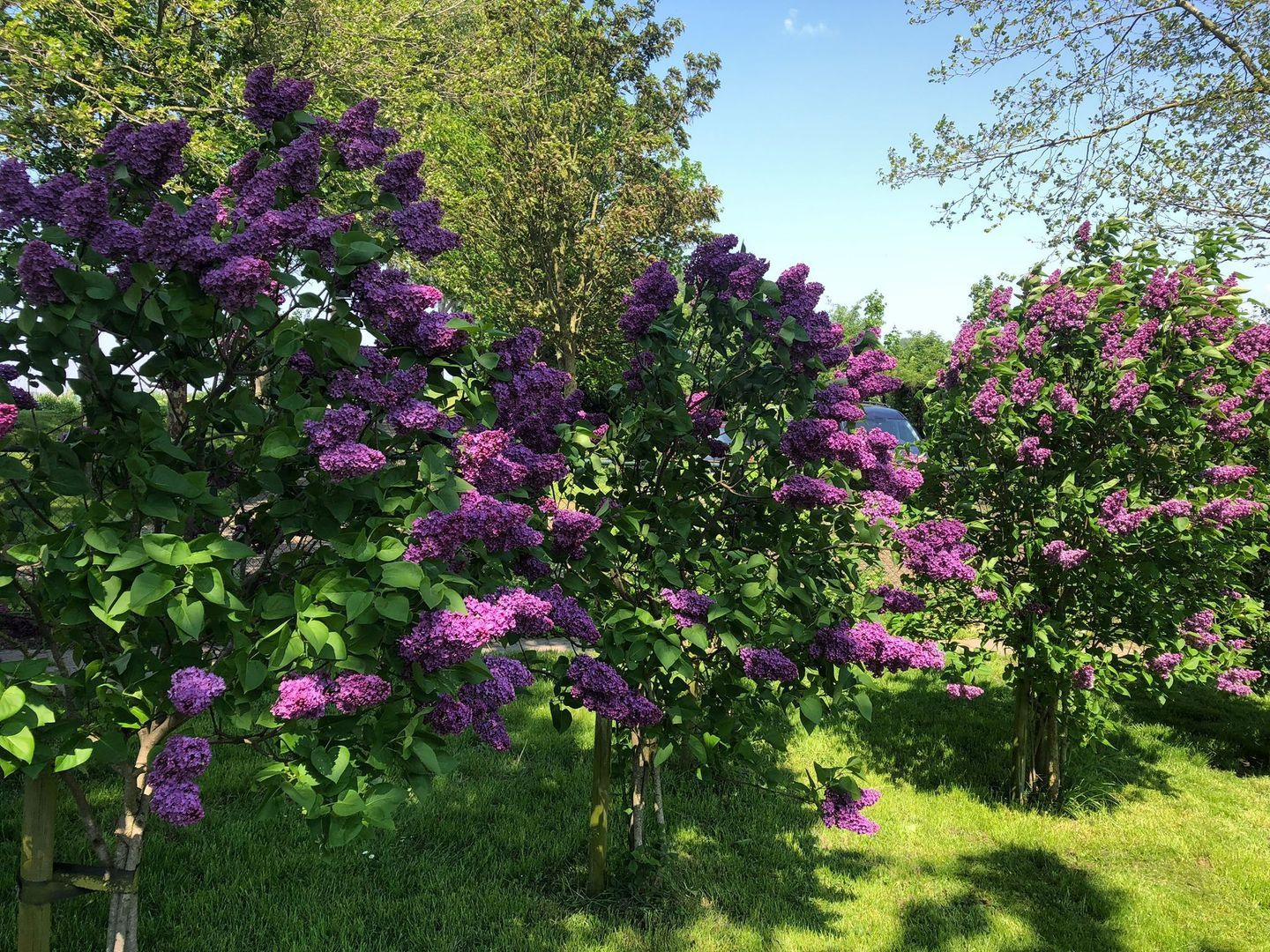 Galathesedijk 5, Ooltgensplaat foto-59