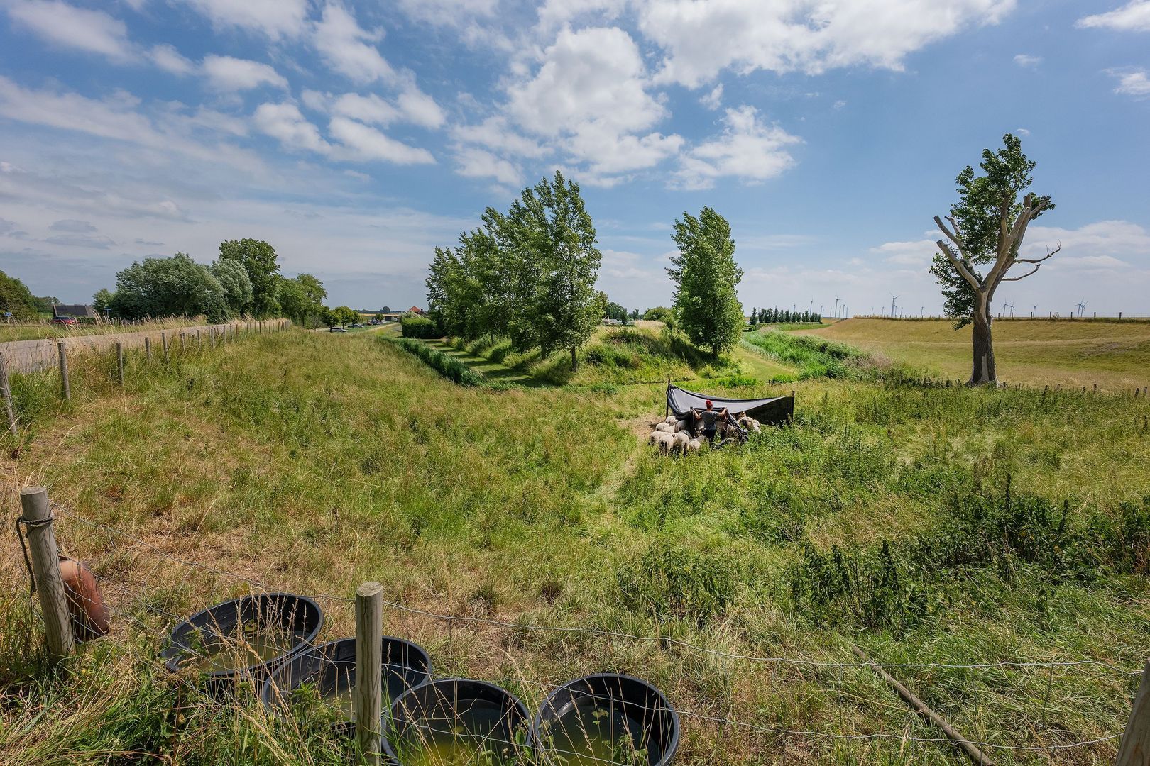 Polder Klinkerland 1, Nieuwe-Tonge foto-48