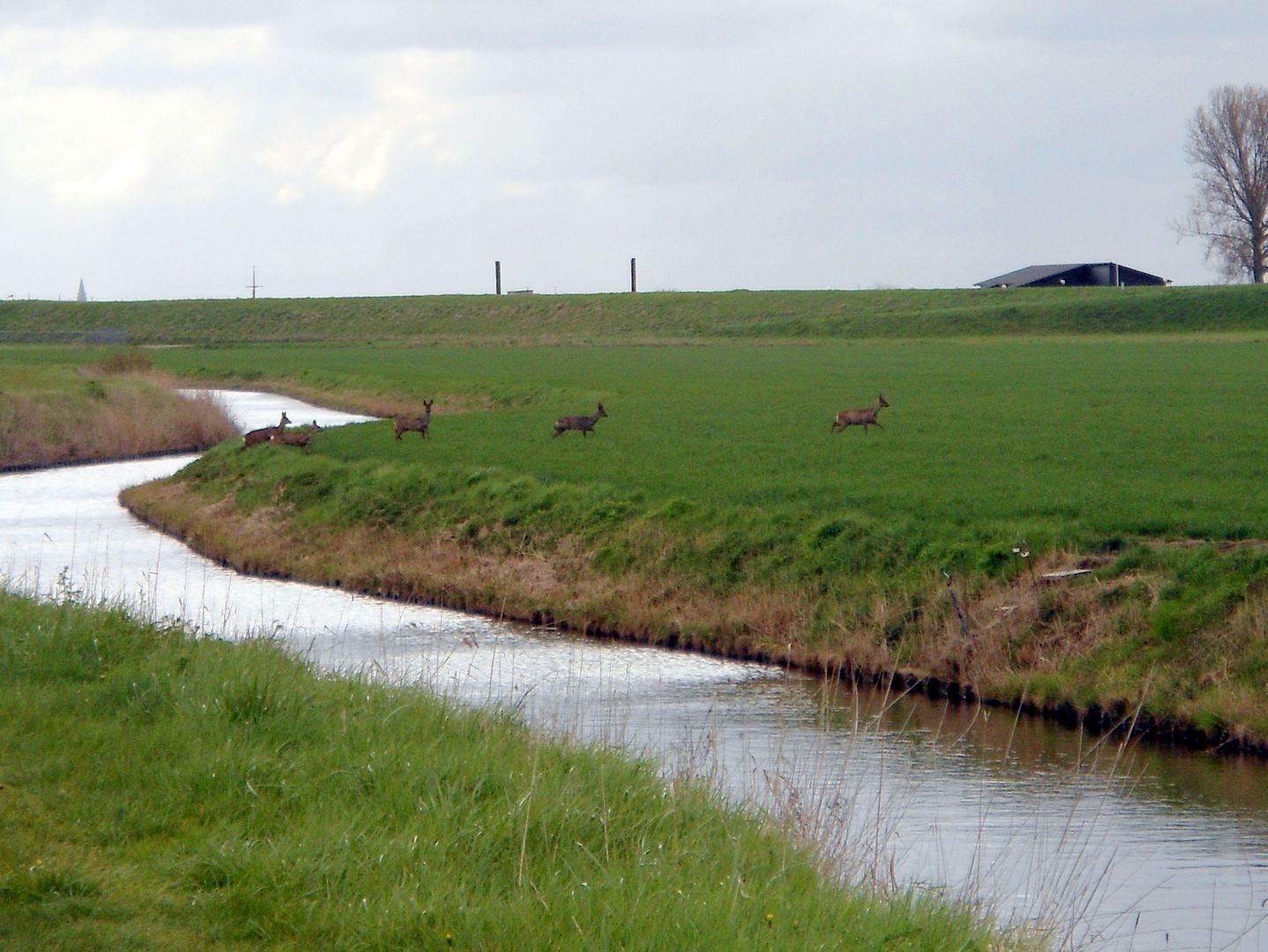 Galathesedijk 5, Ooltgensplaat foto-67