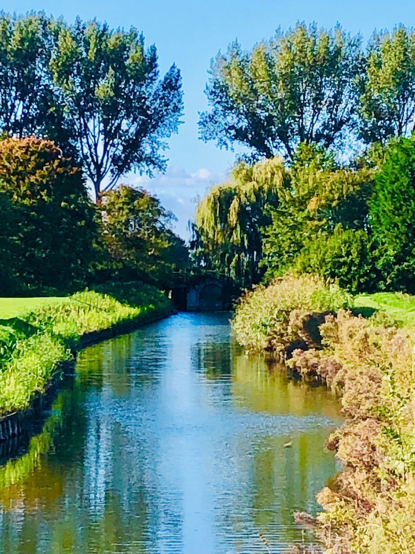 Galathesedijk 5, Ooltgensplaat foto-63