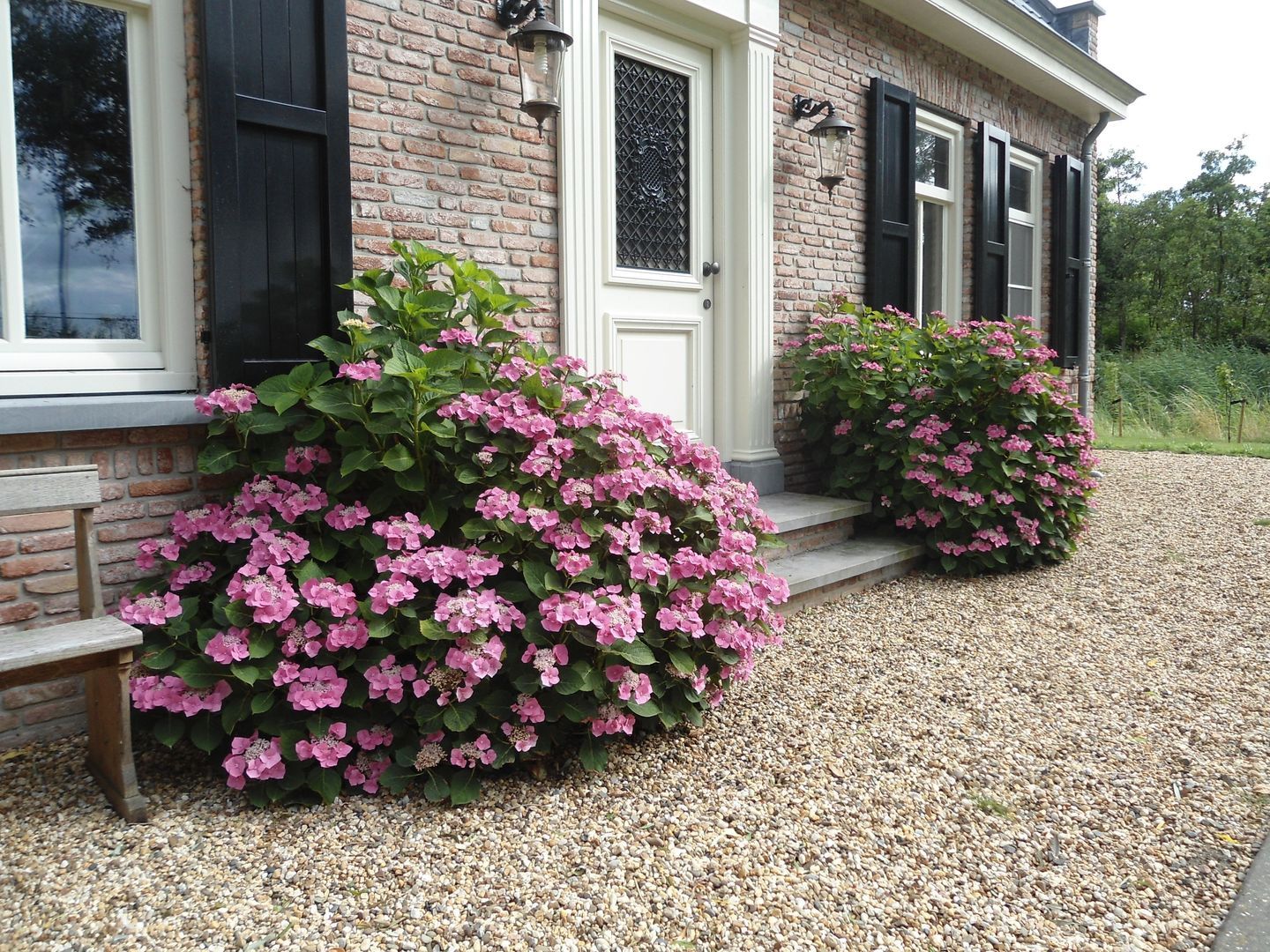 Galathesedijk 5, Ooltgensplaat foto-7