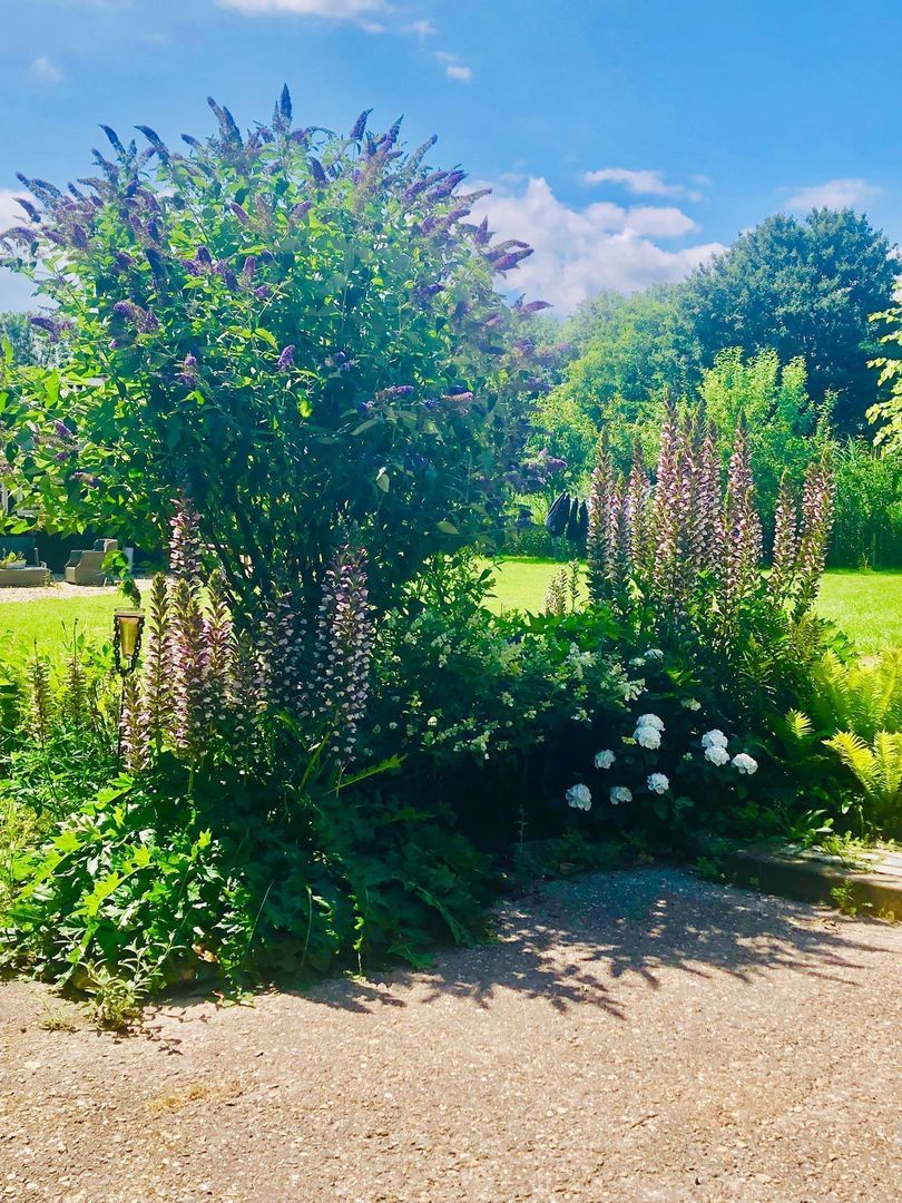 Galathesedijk 5, Ooltgensplaat foto-64