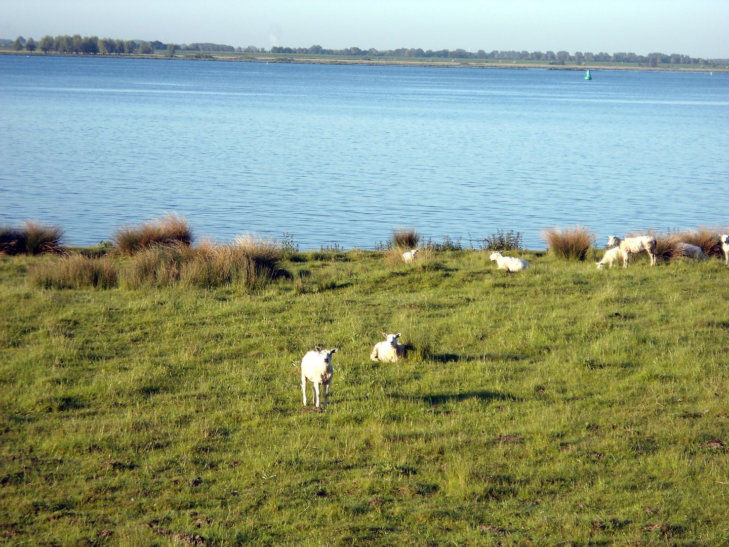 Galathesedijk 5, Ooltgensplaat foto-68