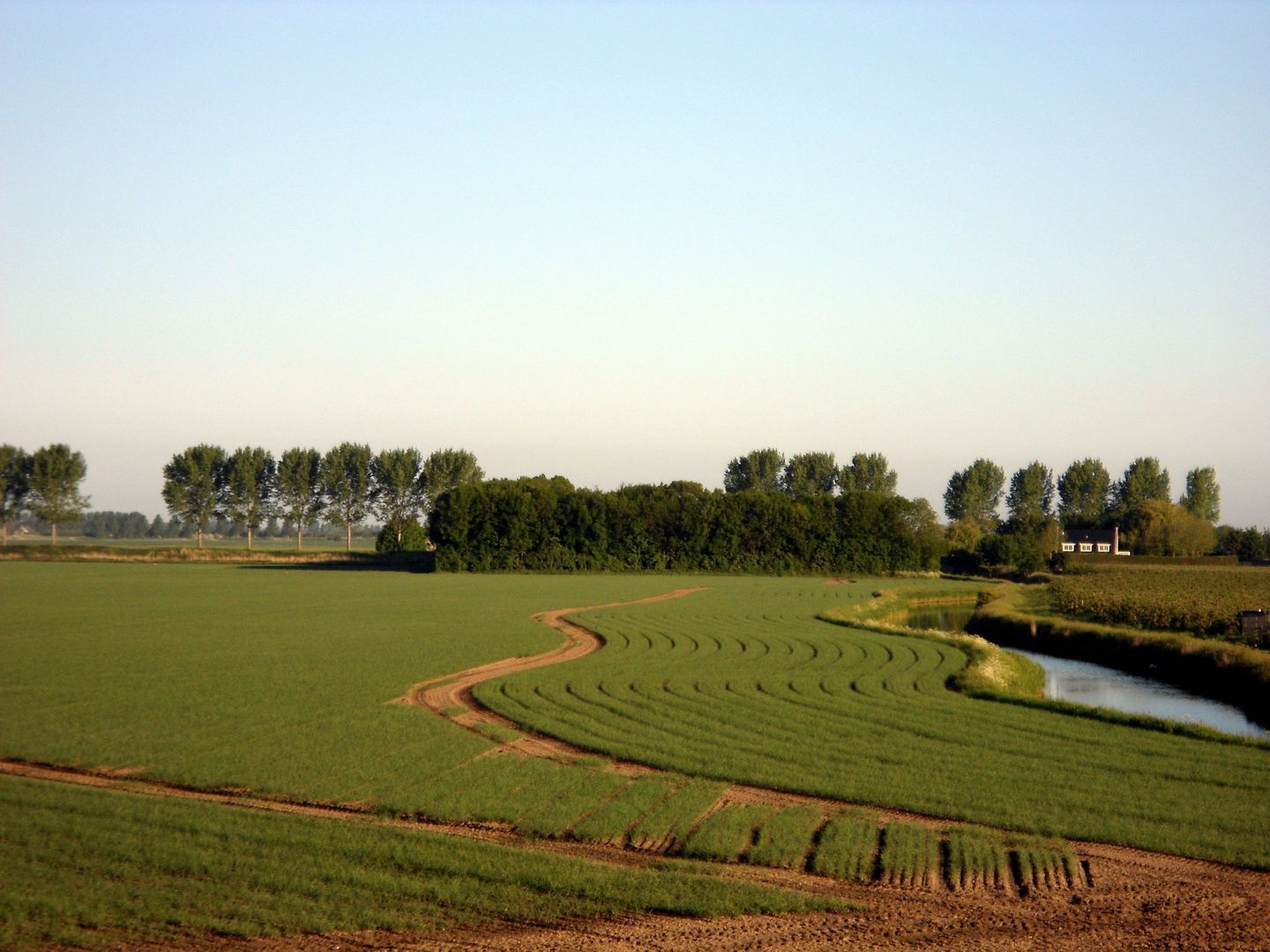 Galathesedijk 5, Ooltgensplaat foto-69