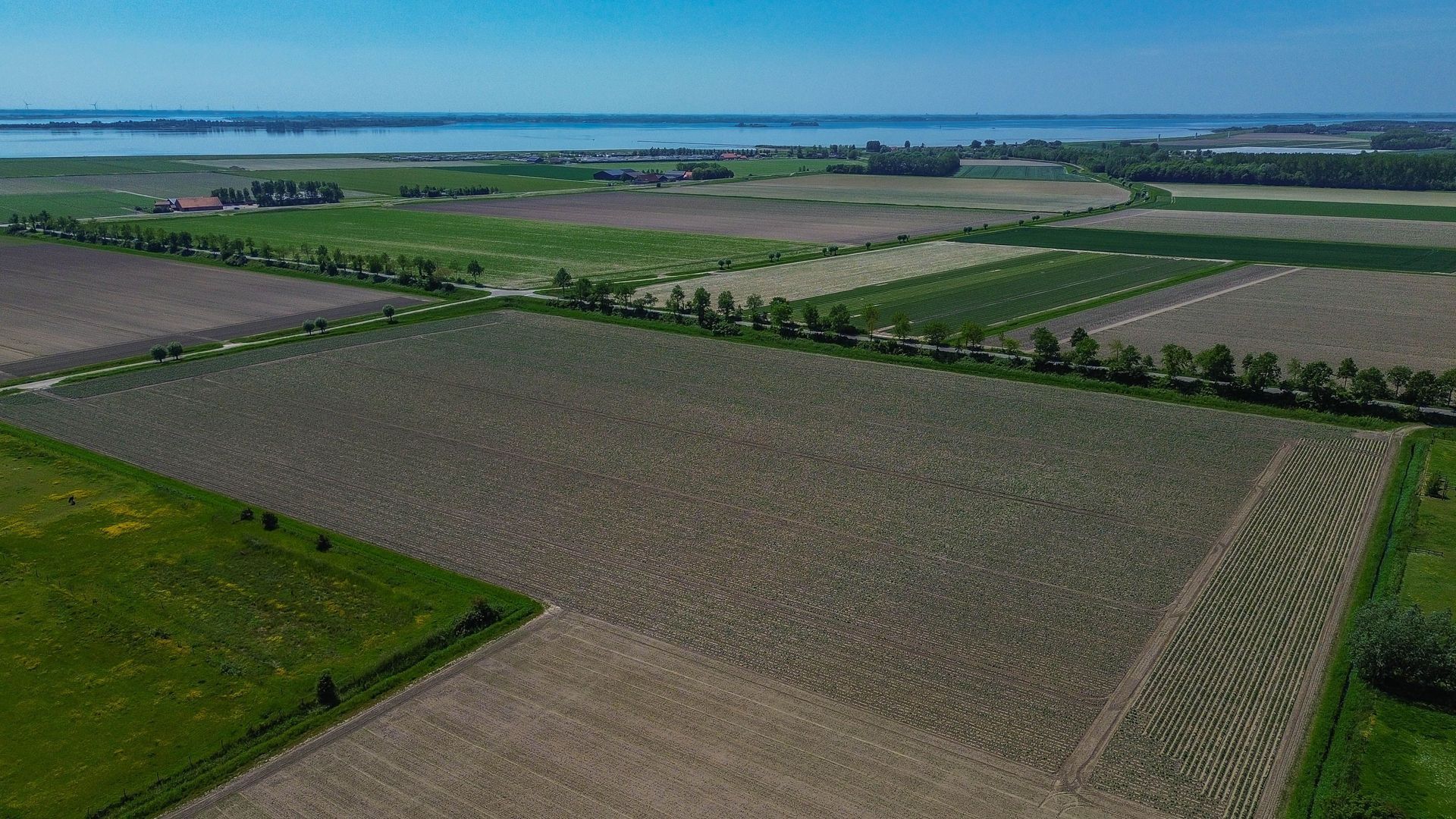 Westdijk 21, Nieuwe-Tonge foto-40