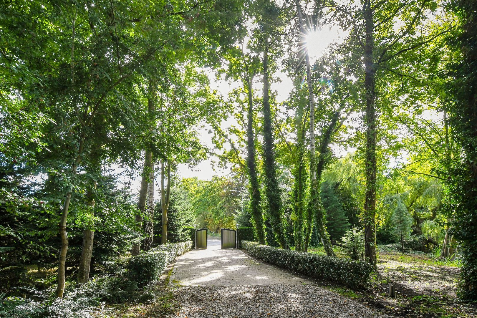 Koelderstraat 21 image 1