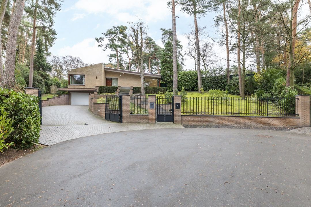 Vlekkenkamp 20 image thumbs 1