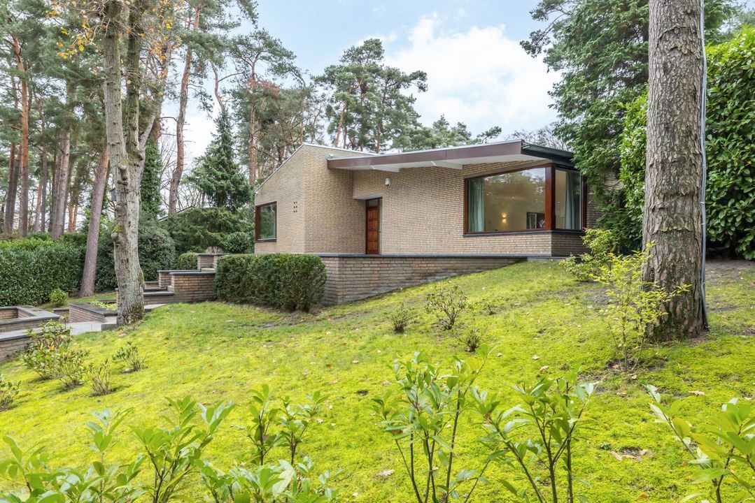 Vlekkenkamp 20 image thumbs 1