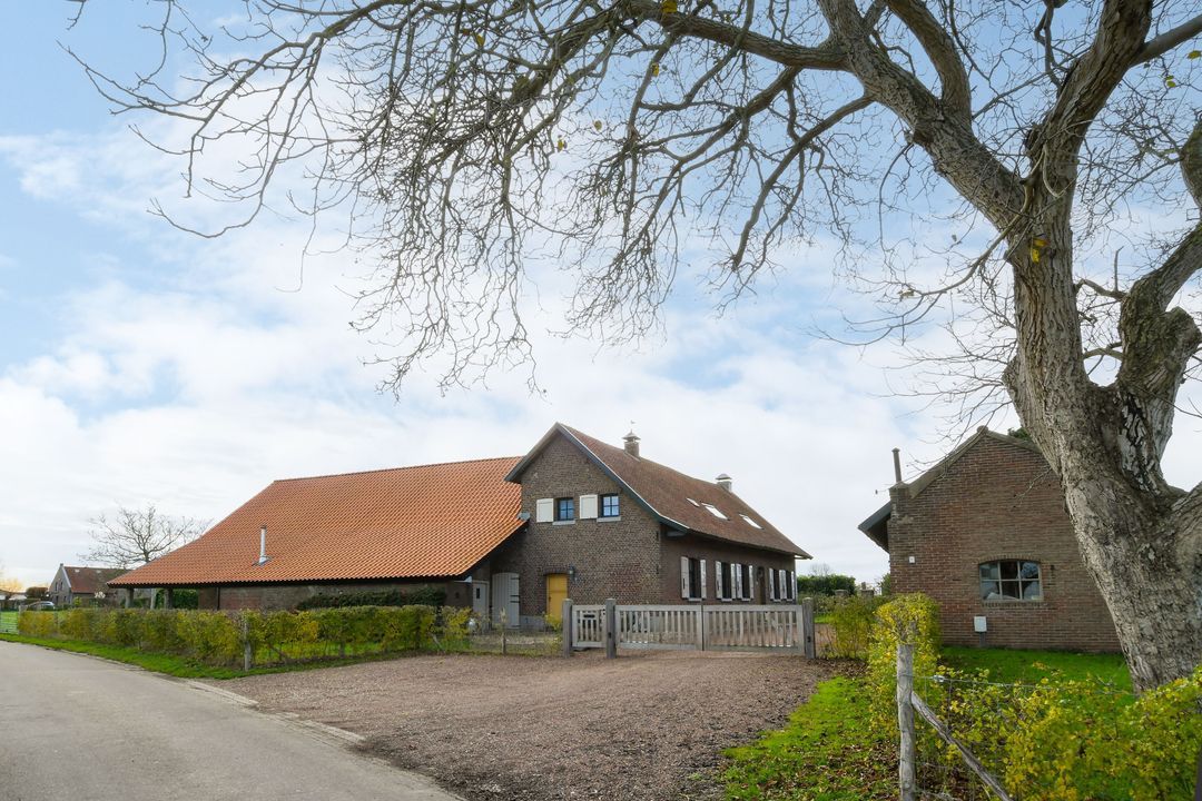 Visserweert 17 image thumbs 1