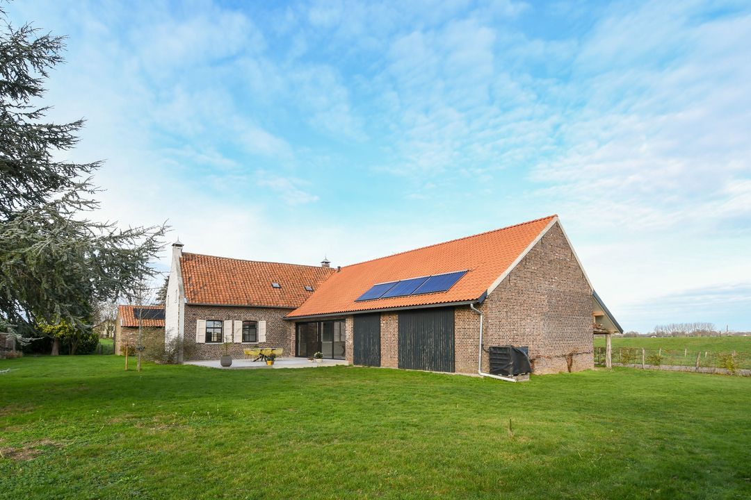 Visserweert 17 image thumbs 1