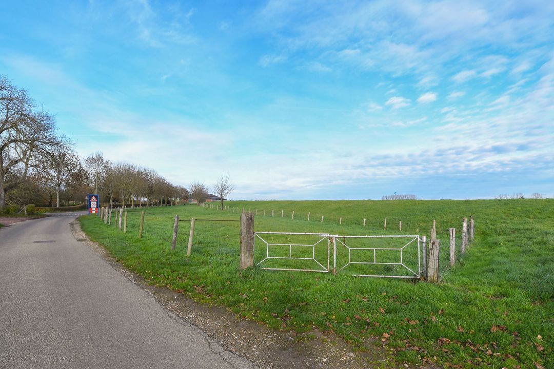 Visserweert 17 image thumbs 1