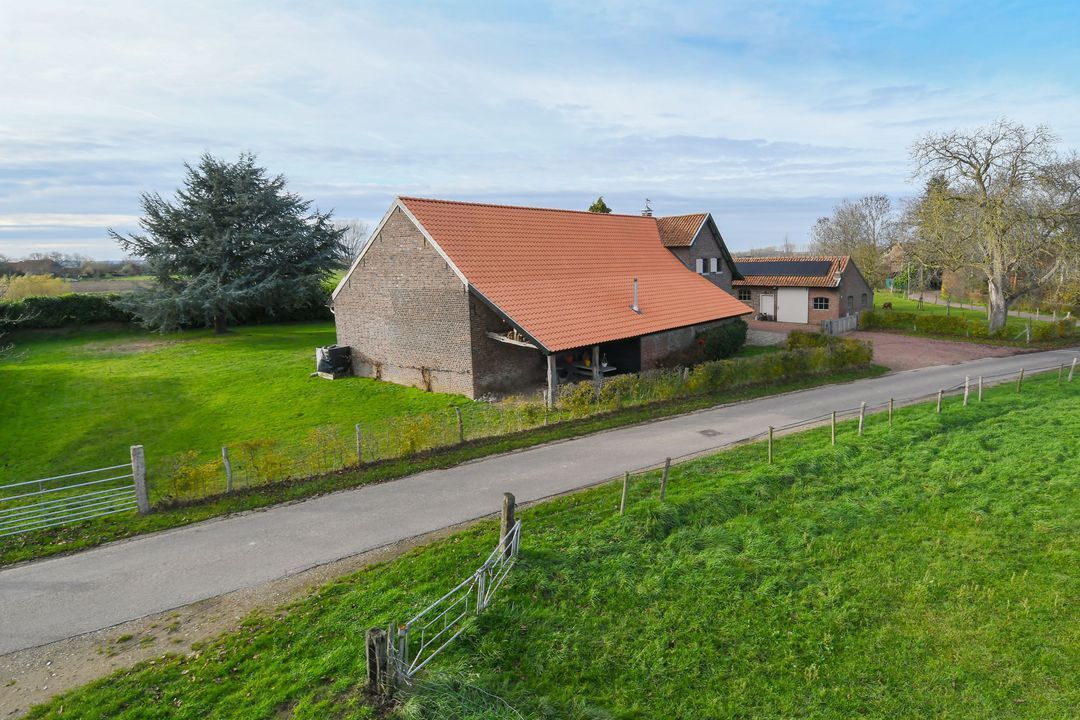 Visserweert 17 image thumbs 1