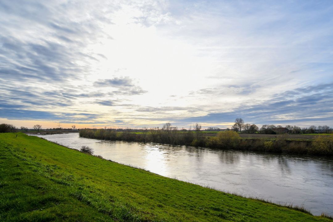 Visserweert 17 image thumbs 1