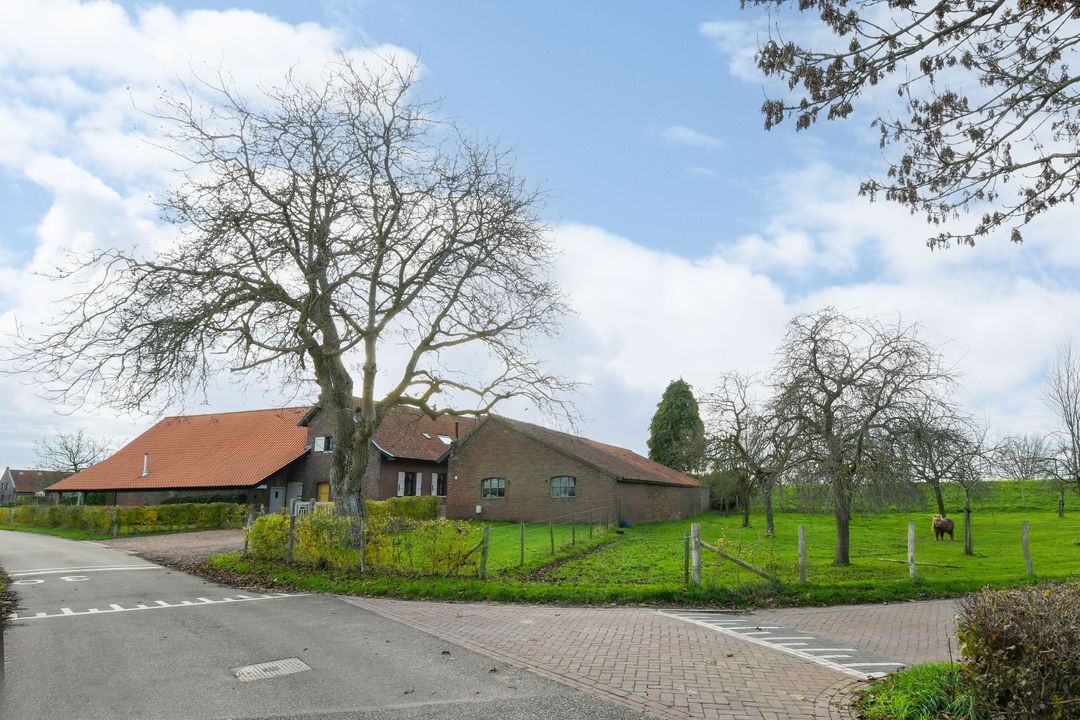 Visserweert 17 image thumbs 1