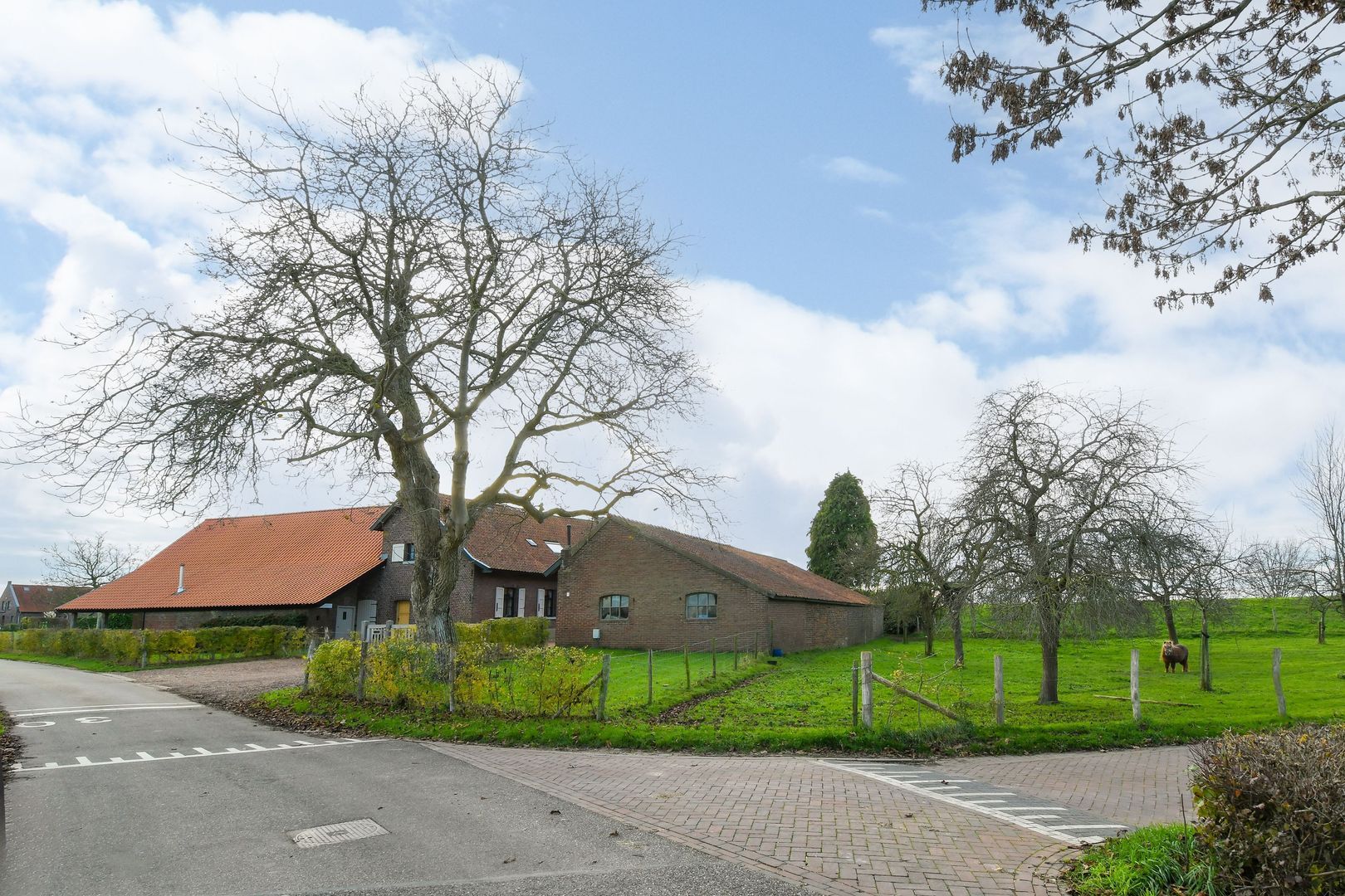 Visserweert 17 image 1