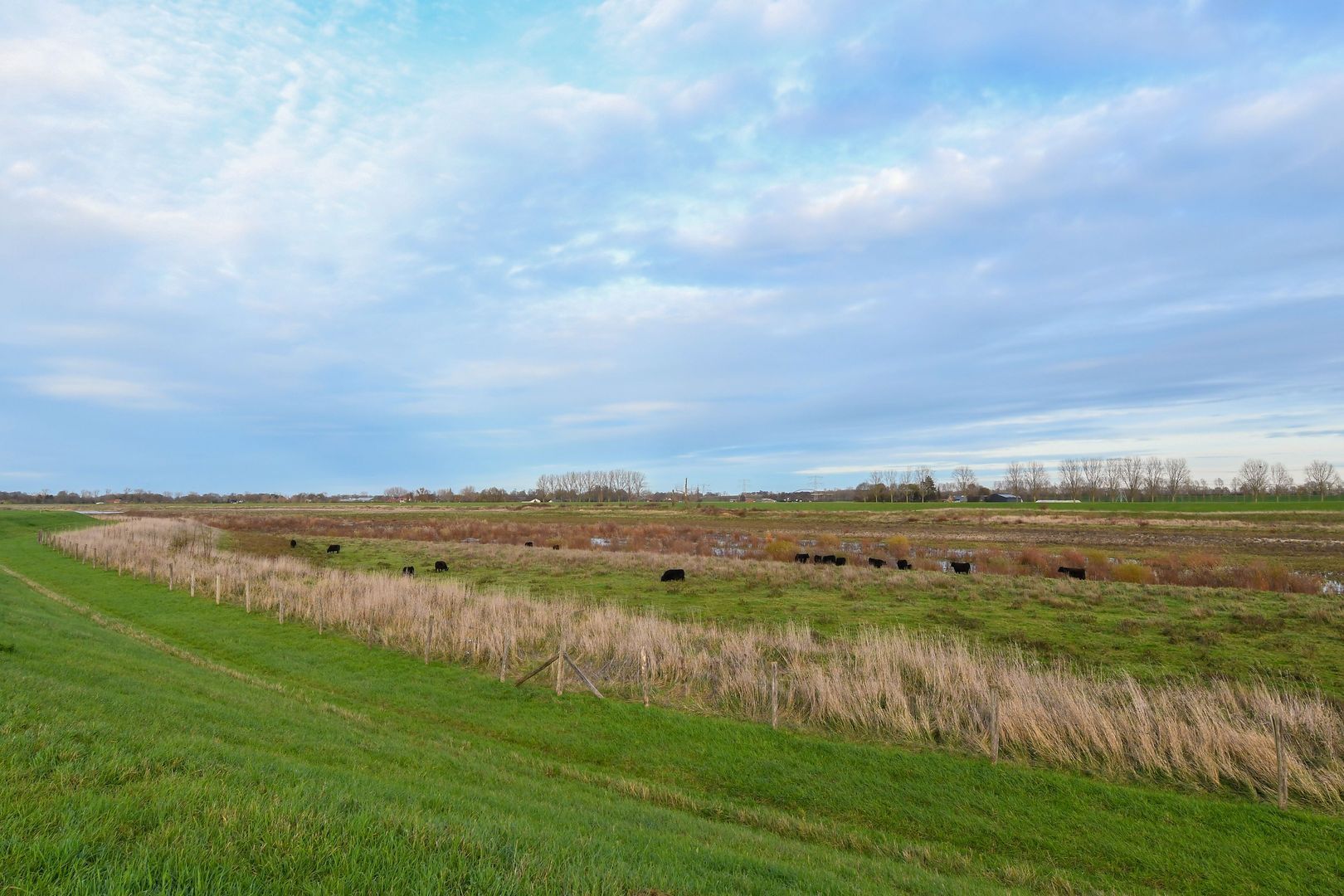 Visserweert 17 image 1