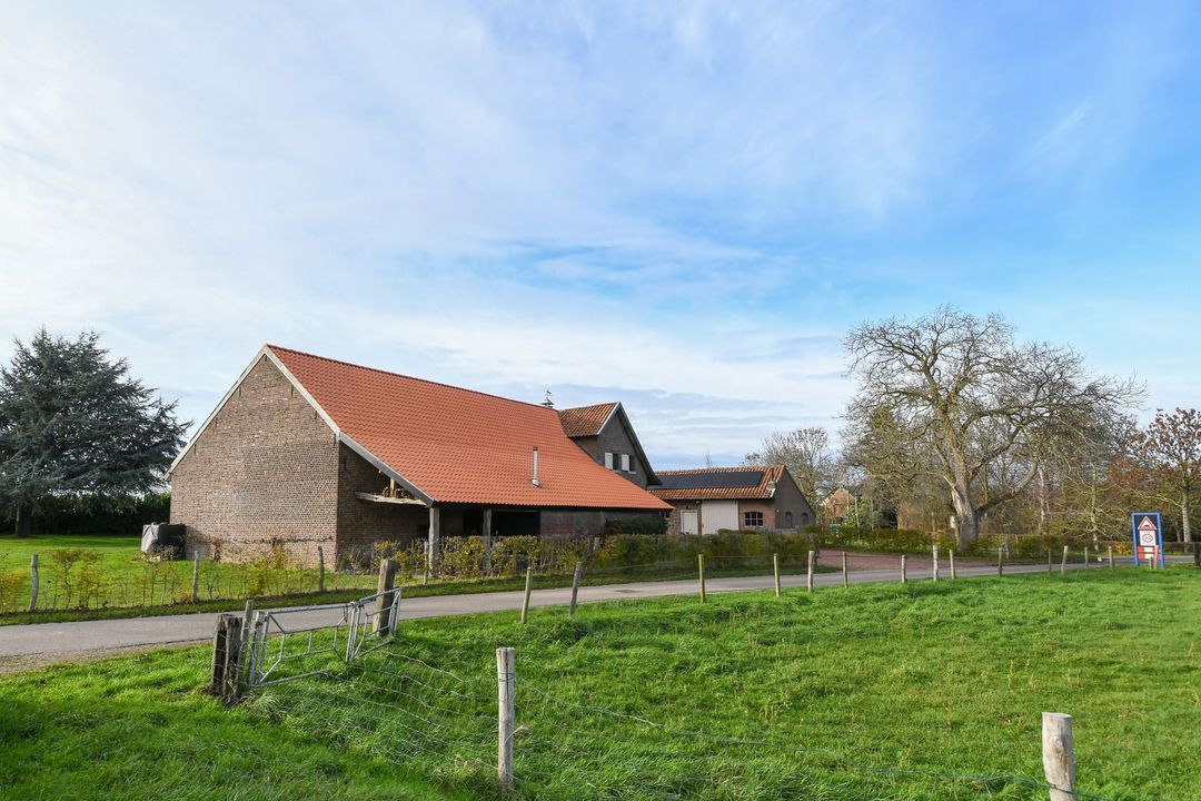 Visserweert 17 image thumbs 1