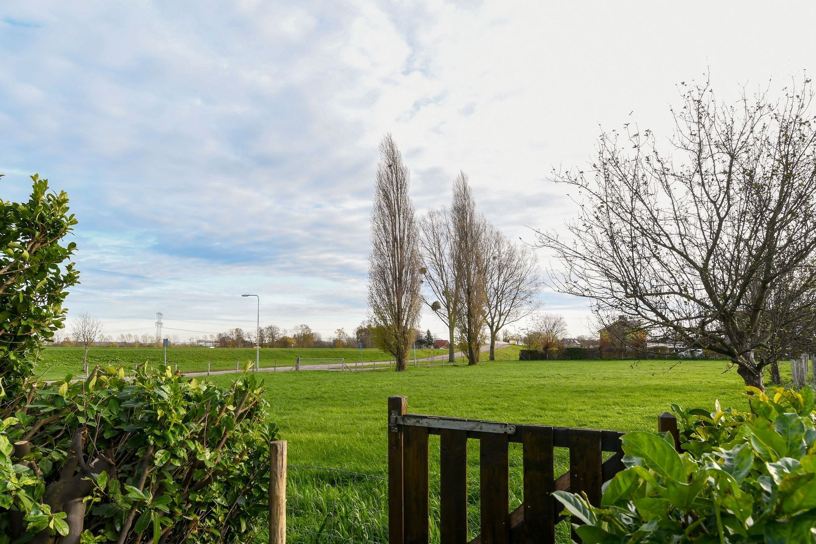 Visserweert 17 image 1