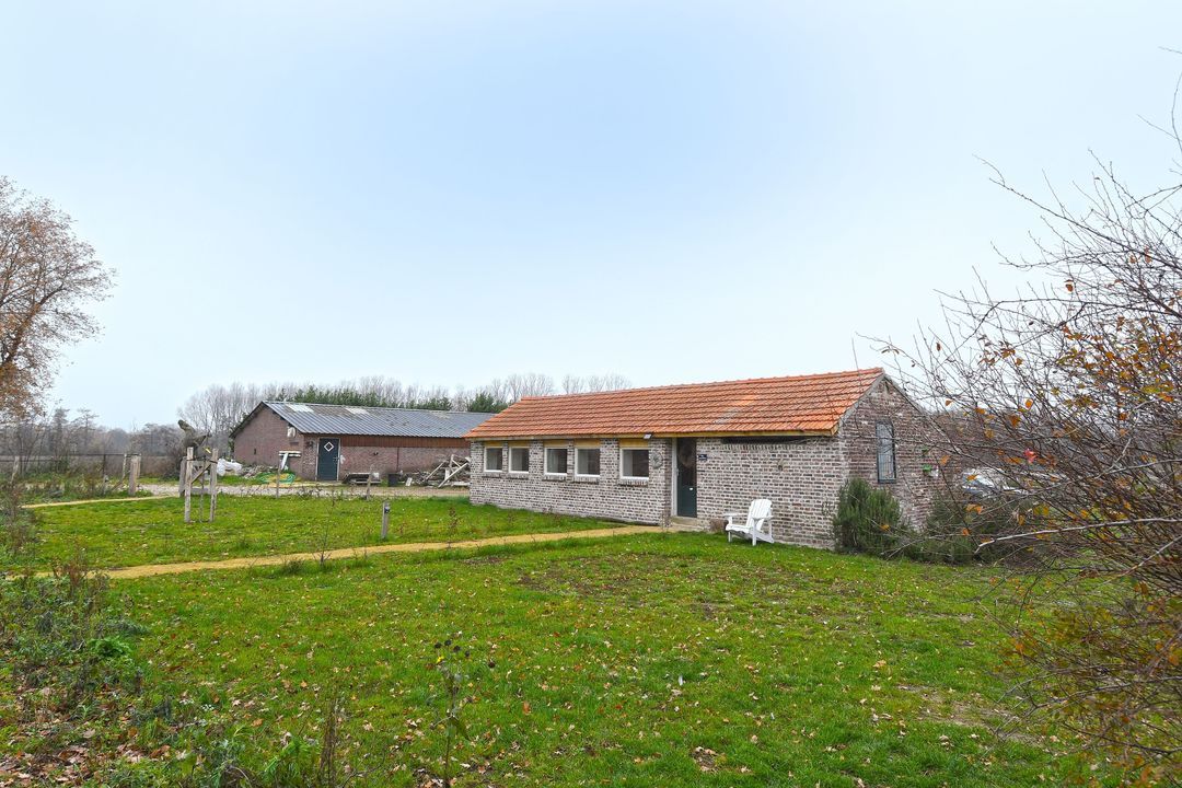 Baldersstraat 1 image thumbs 1