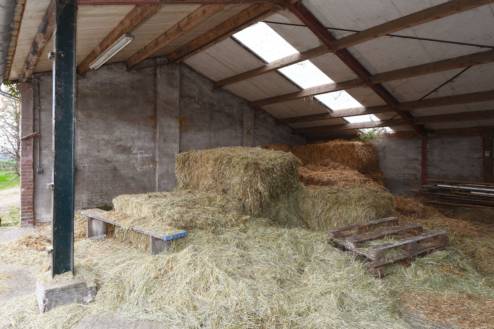 Baldersstraat 1 image 1