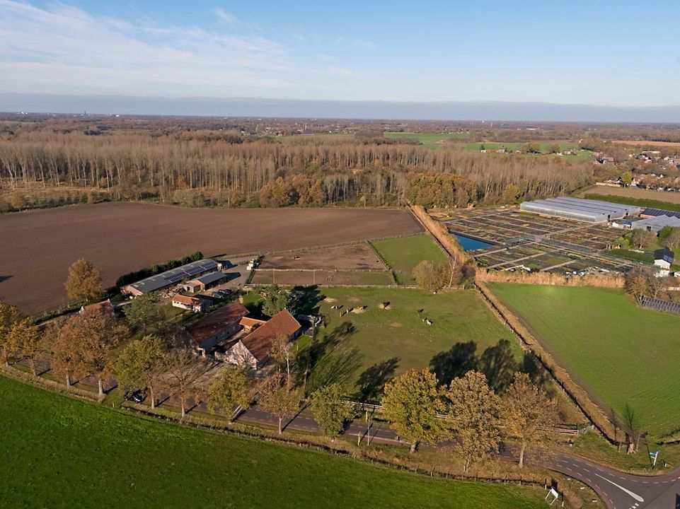 Baldersstraat 1 image thumbs 1