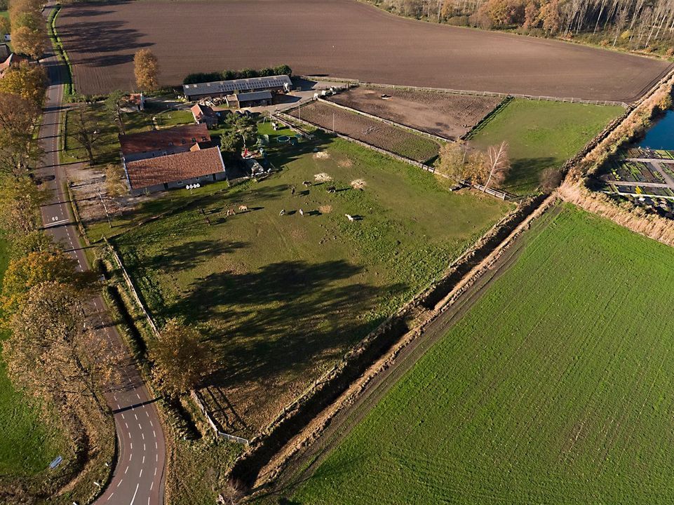 Baldersstraat 1 image thumbs 1