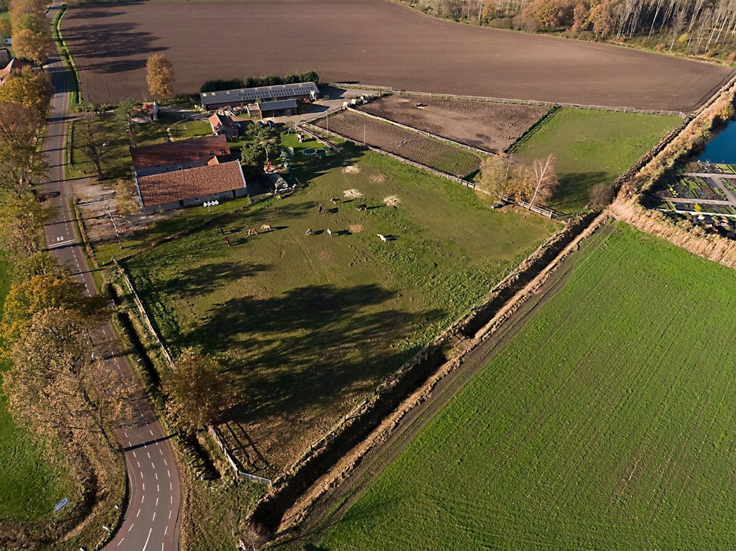 Baldersstraat 1 image 1